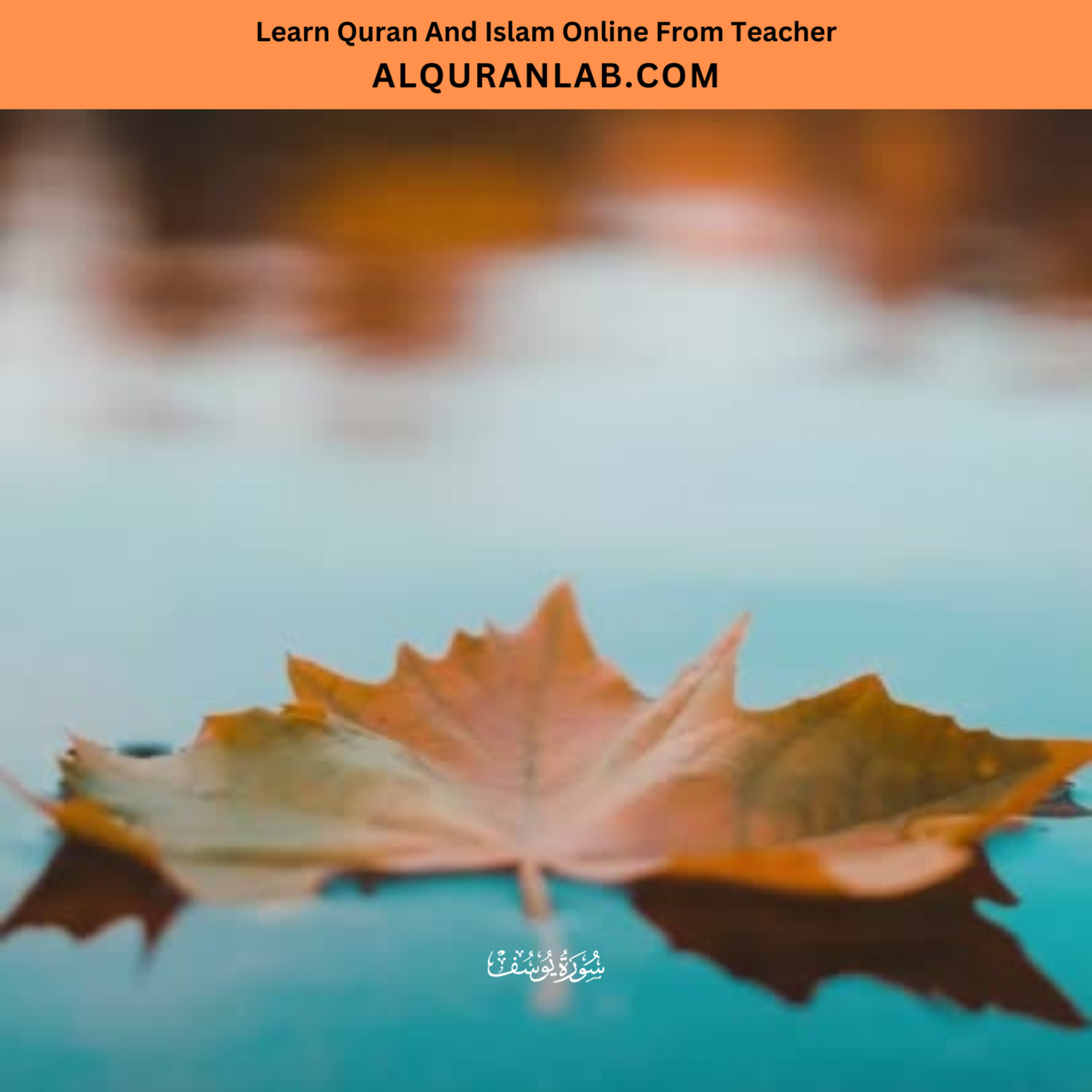 Surah Yusuf Amazing and beautiful Recitation of the Quran with Tajweed