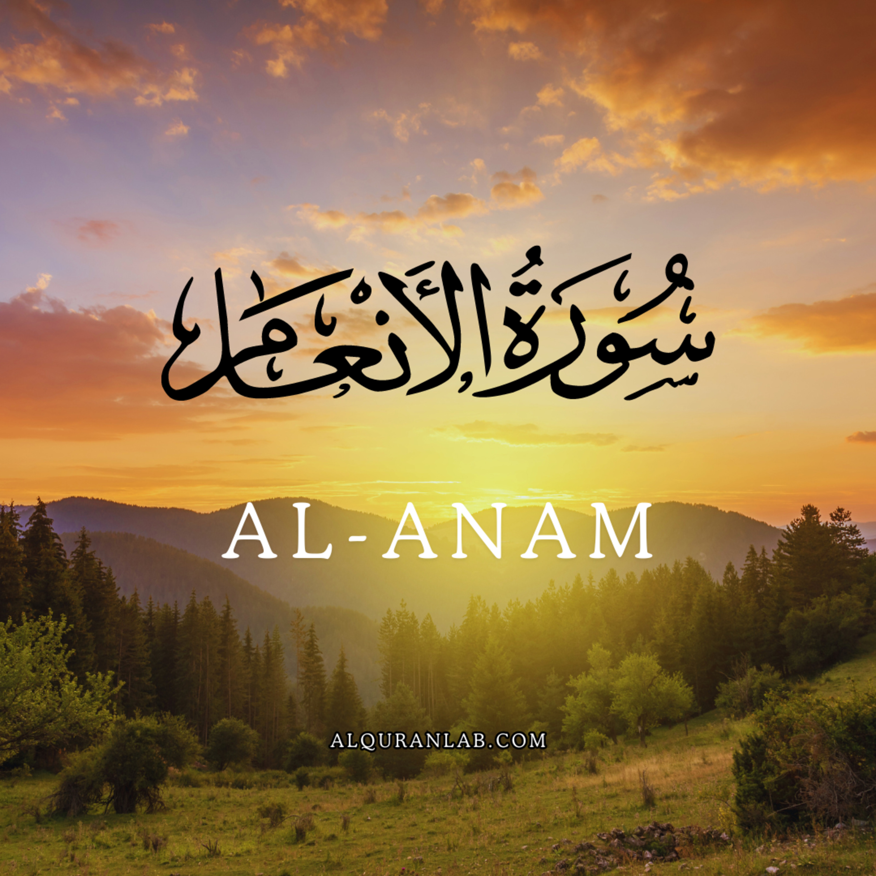 Surah Al-Anam Beautiful Soothing Recitation of the Quran with Tajweed alquranlab.com