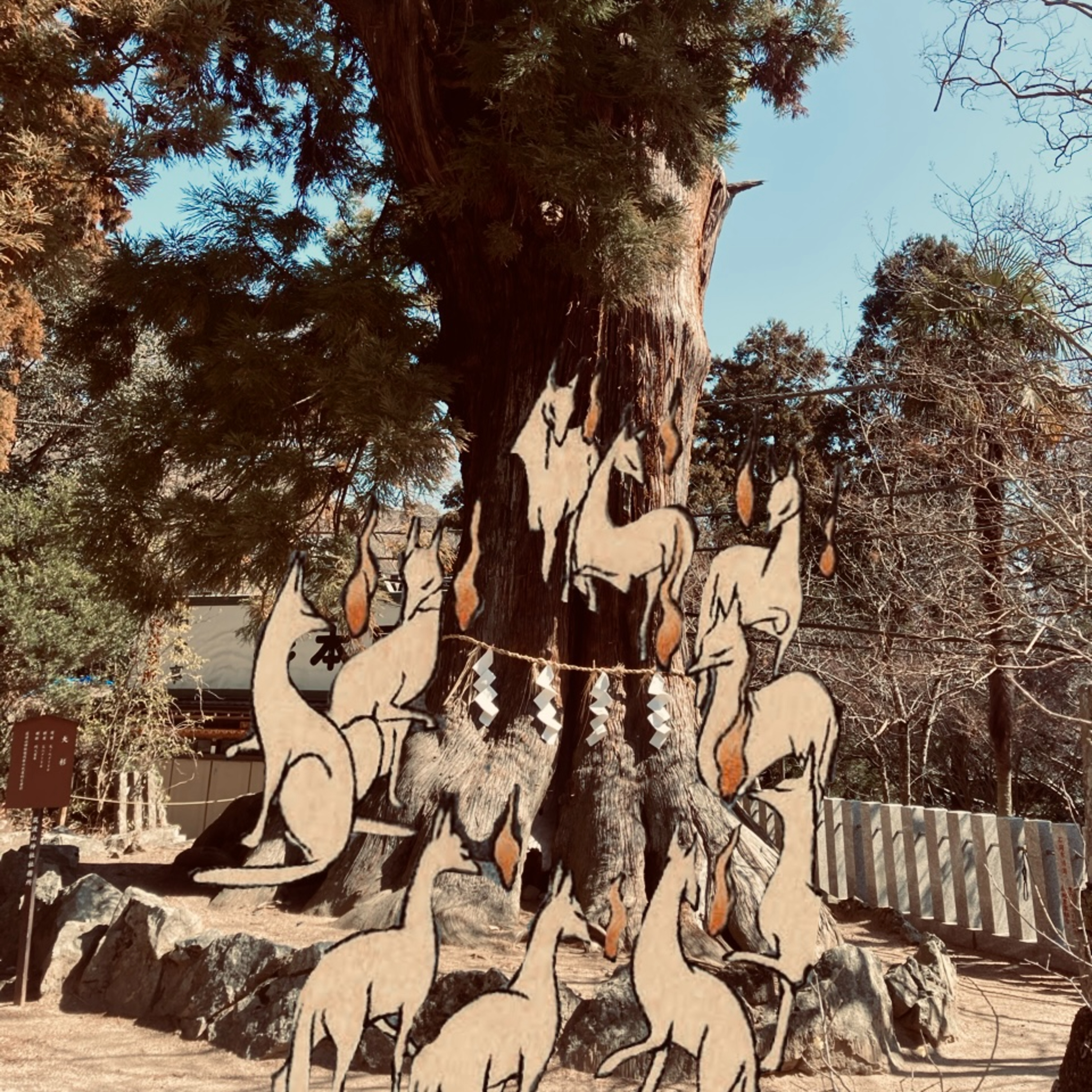 EP56　狐火（Kitsunebi ＝ Foxfire）