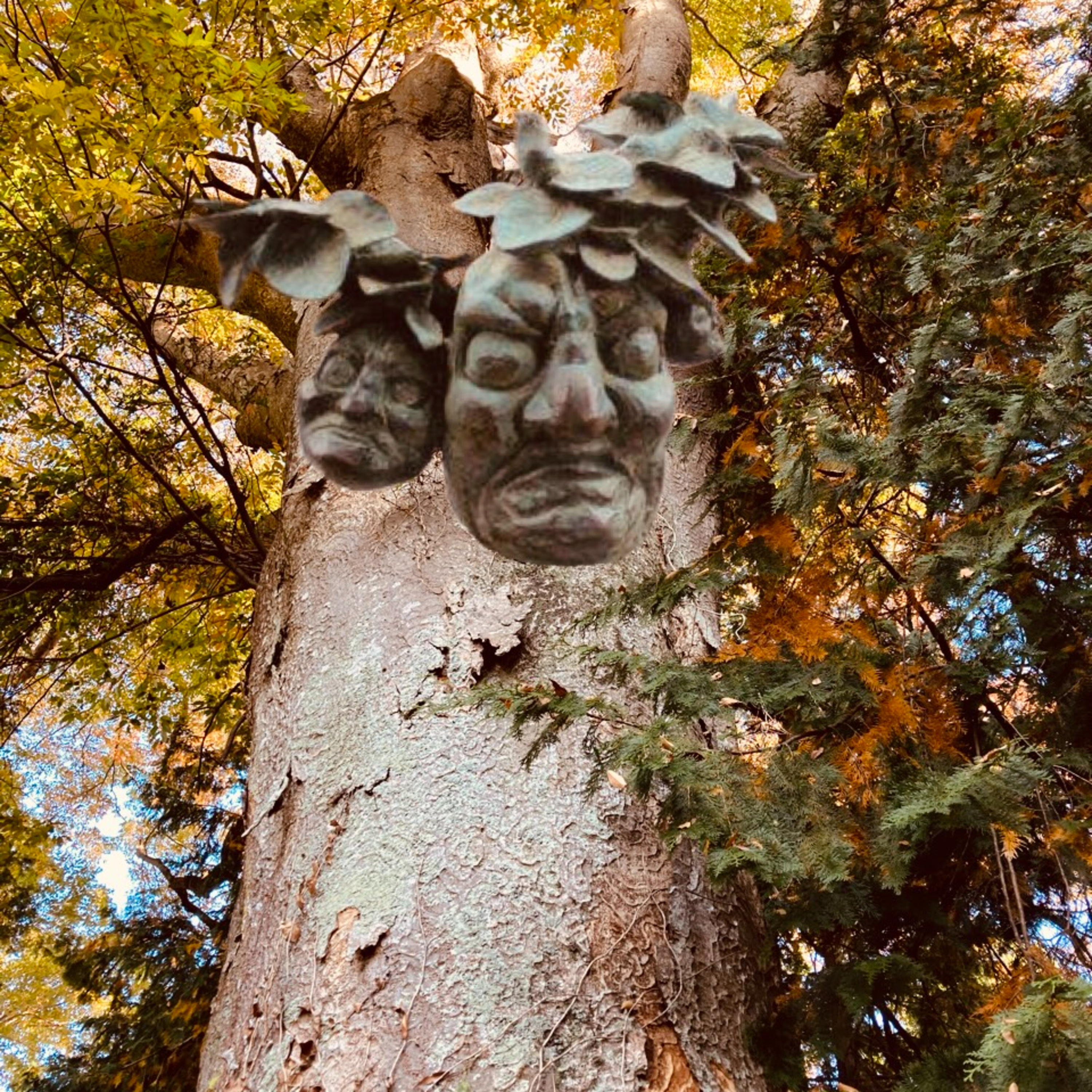 EP79 たんころりん（Tankororin = Persimmon spirit）