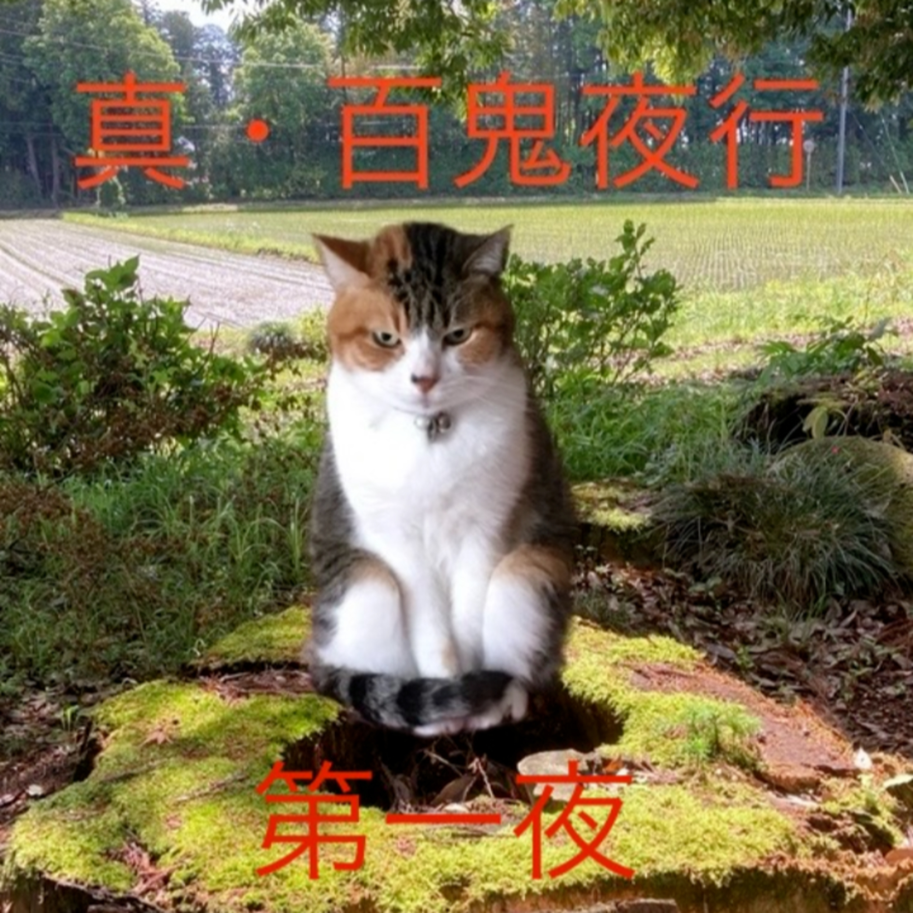 EP101 真・百鬼夜行　壱（Shin Hyakkiyako = True Veritable pandemonium）