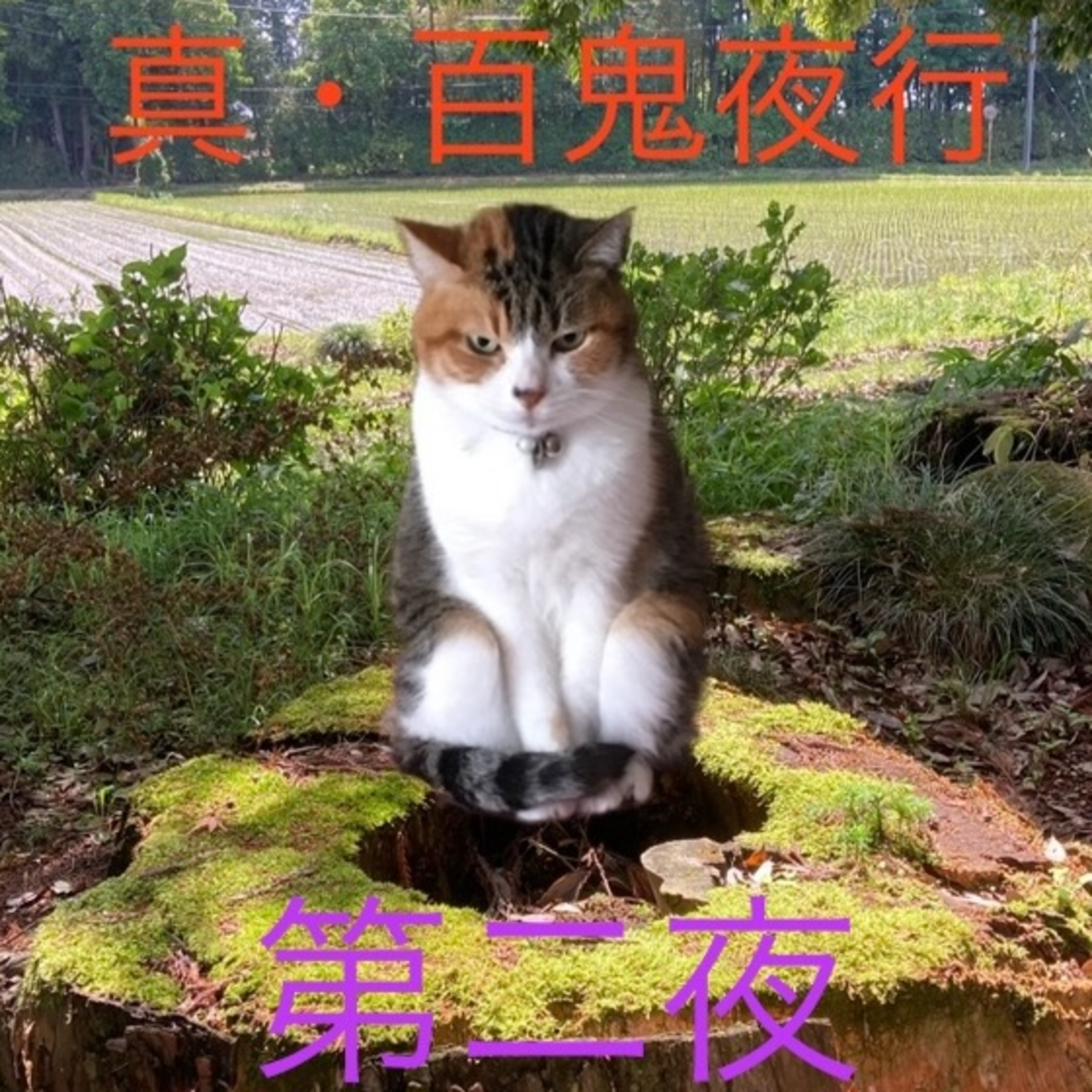 EP102 真・百鬼夜行 弐(Shin Hyakkiyako = True Veritable pandemonium)