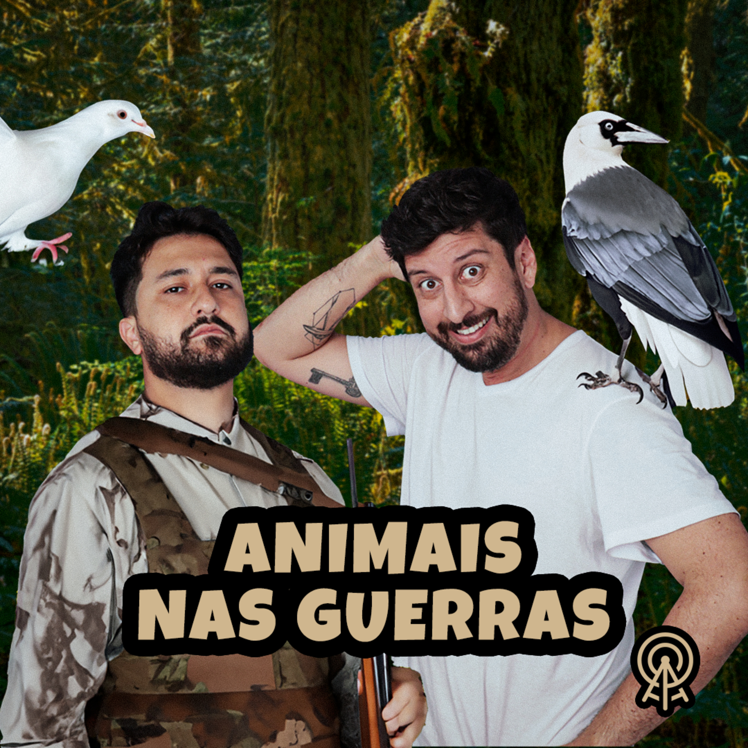 História pros brother
