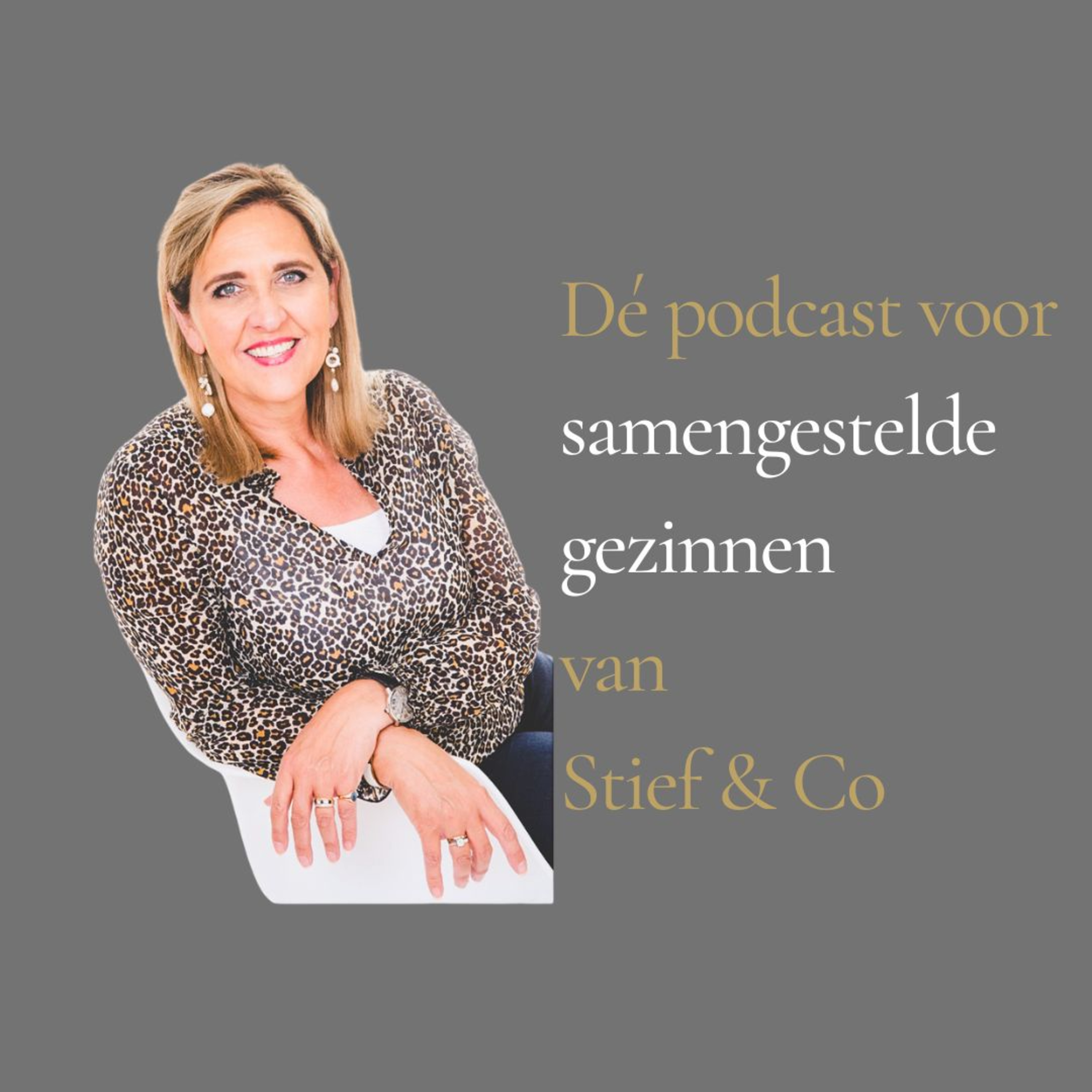 #4 Kerst komt eraan oh help! Luister naar onze tips & tricks.