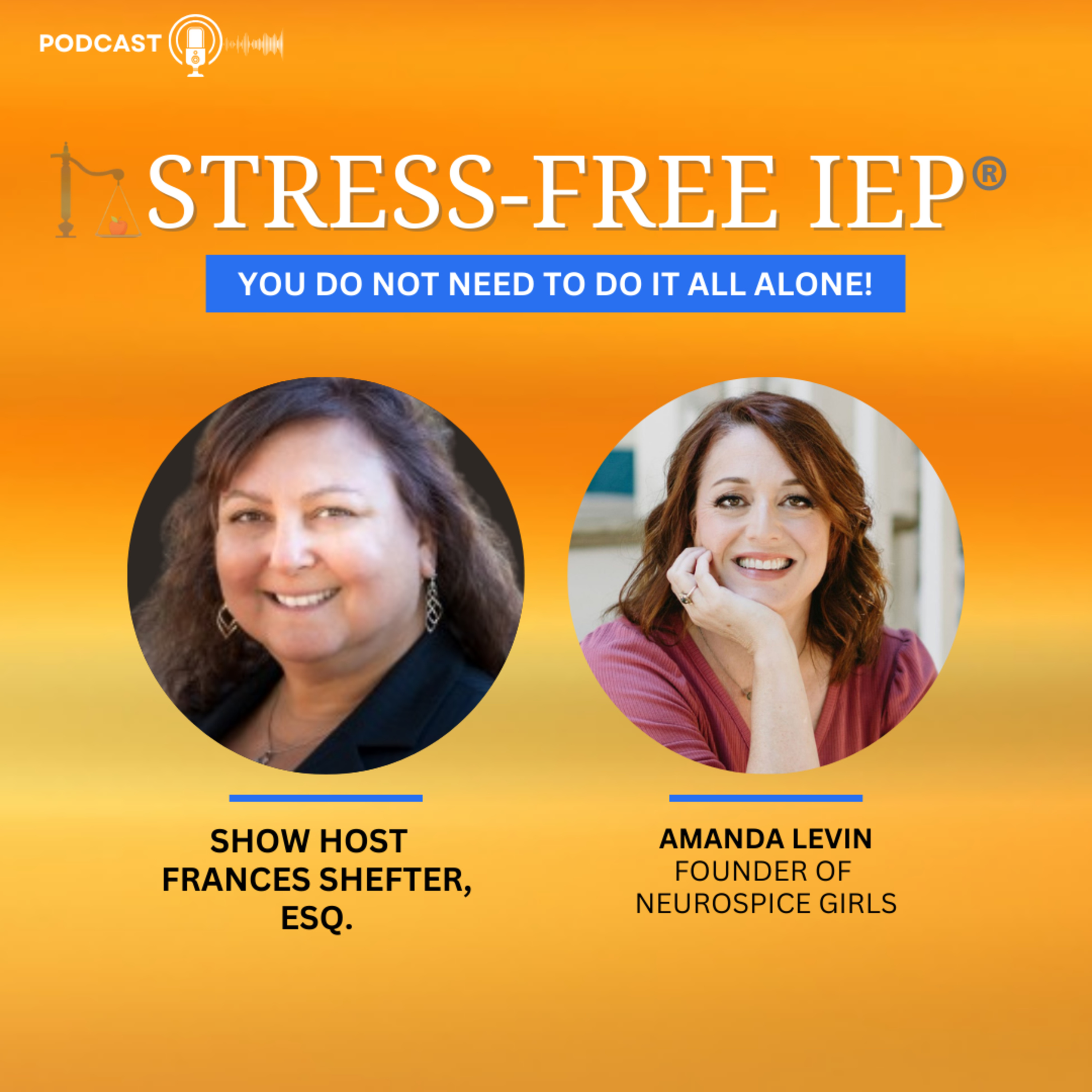 Stress-Free IEP®