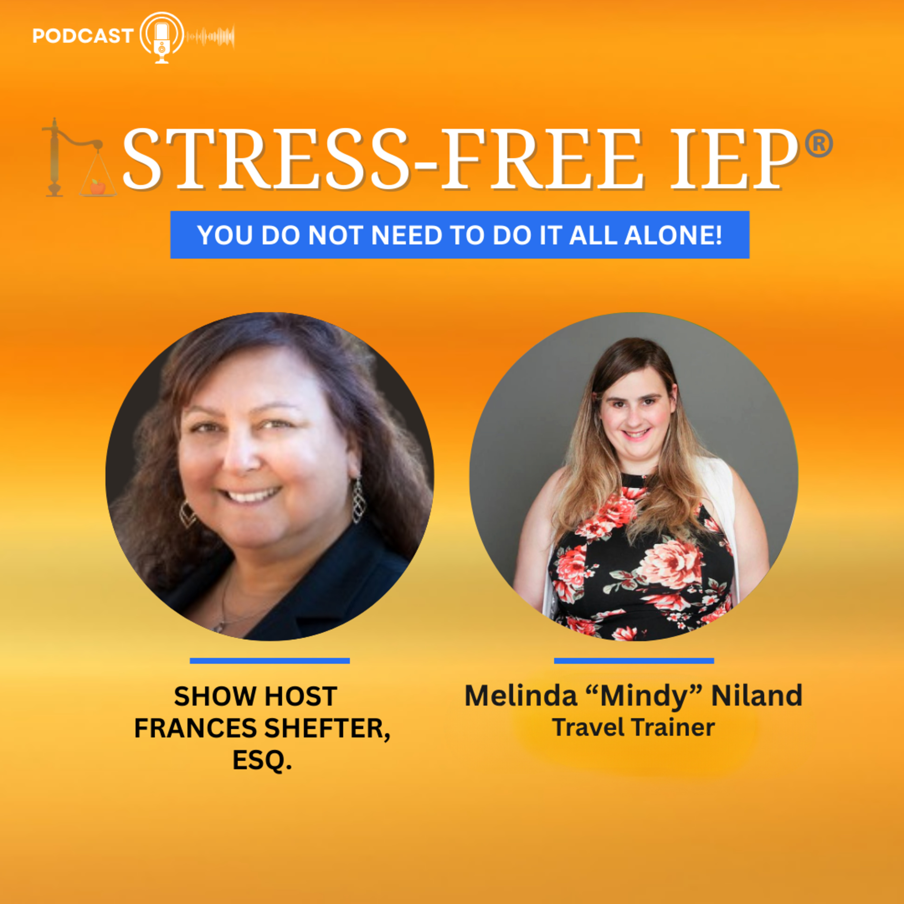 Stress-Free IEP®