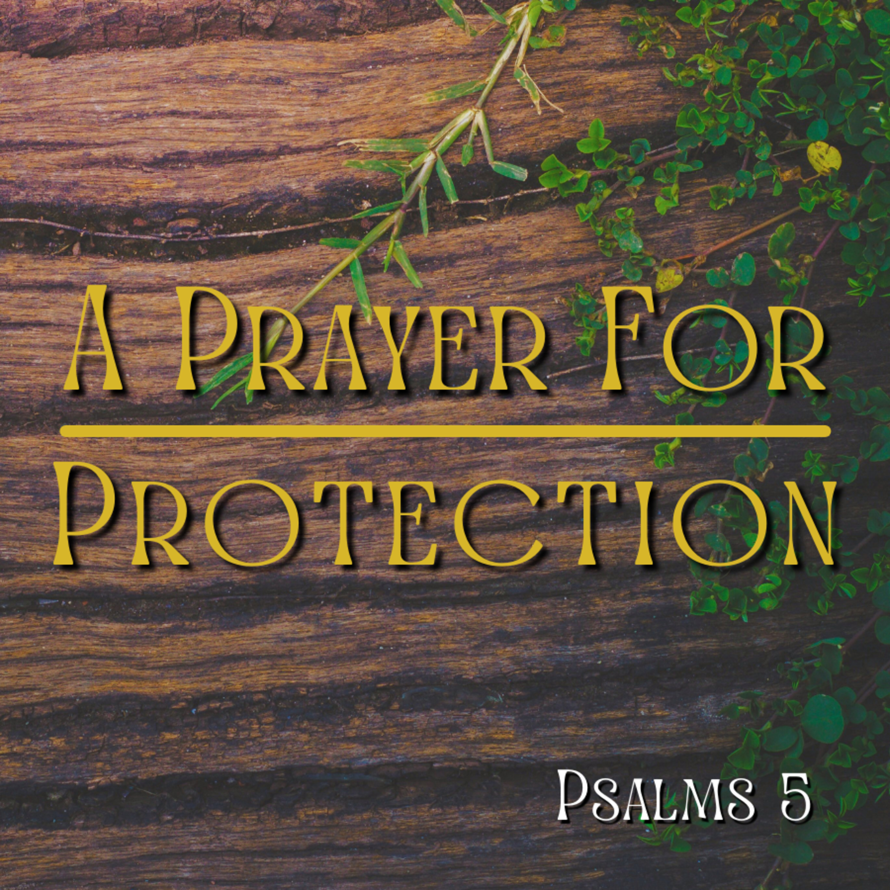 Bro. Philip Harrelson - Sunday Morning - A Prayer For Protection