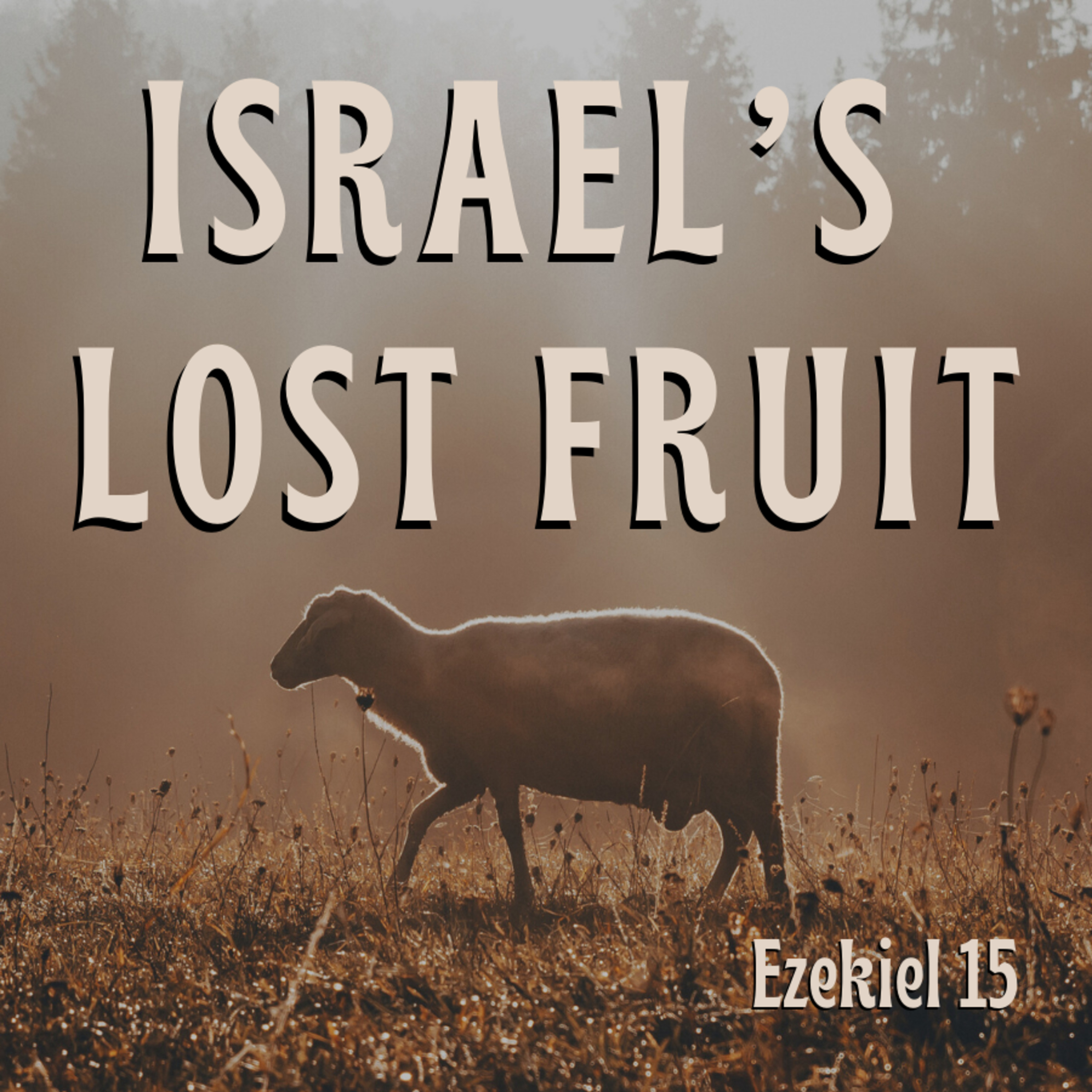 Bro. Joe Patterson - Israel's Lost Fruit - 10/15/23