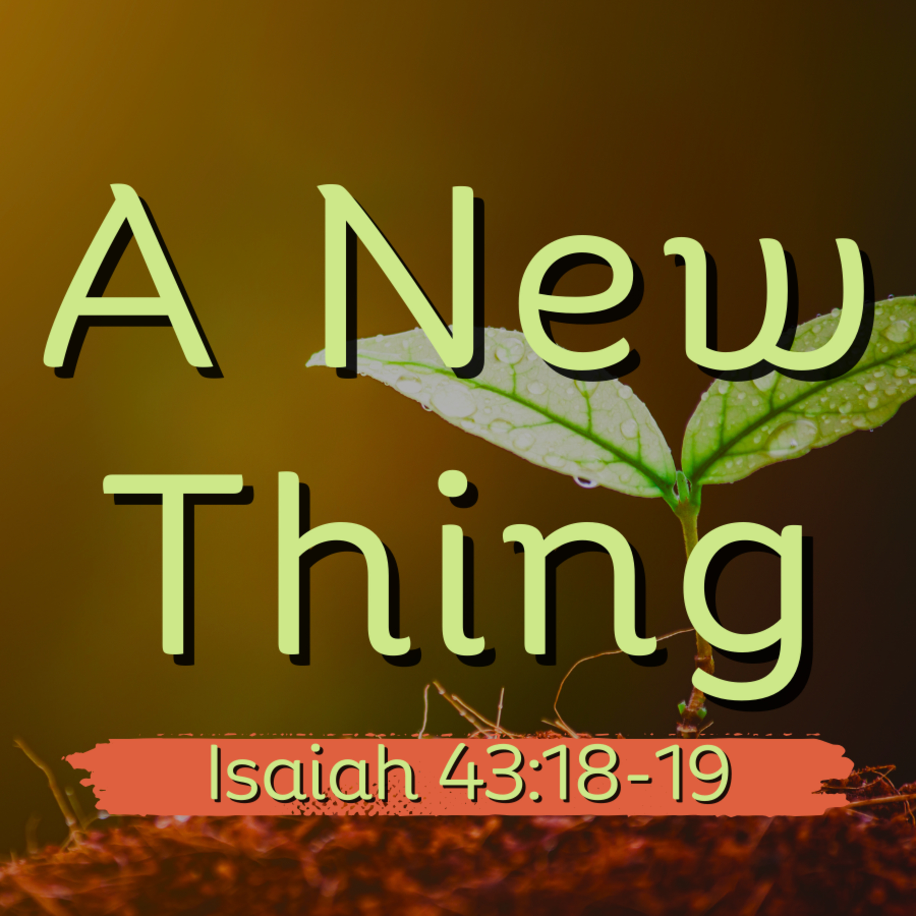 Rev. Kendal Weeks - A New Thing - 10/22/23