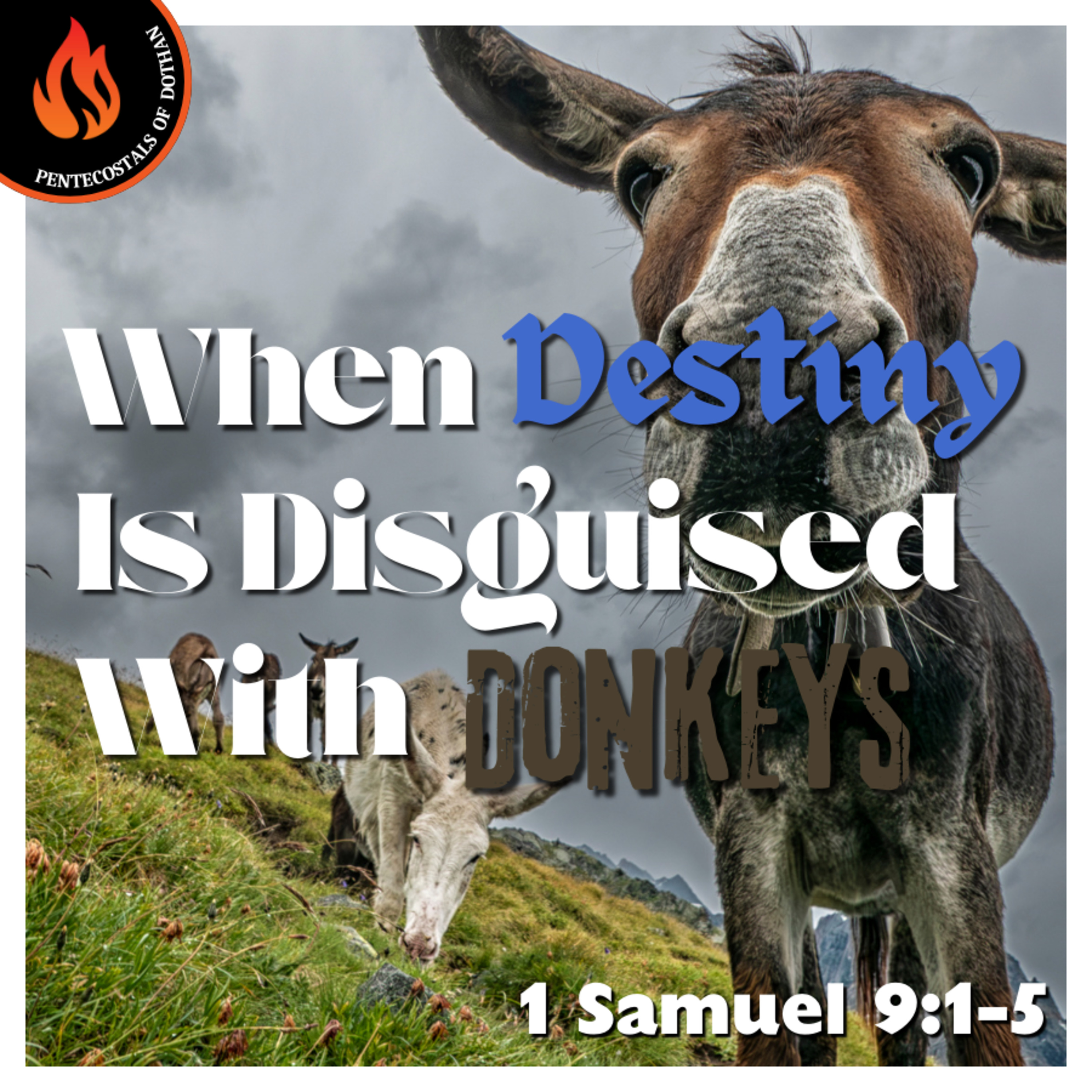 Bro. Philip Harrelson - When Destiny Is Disguised With Donkeys - 12/7/25