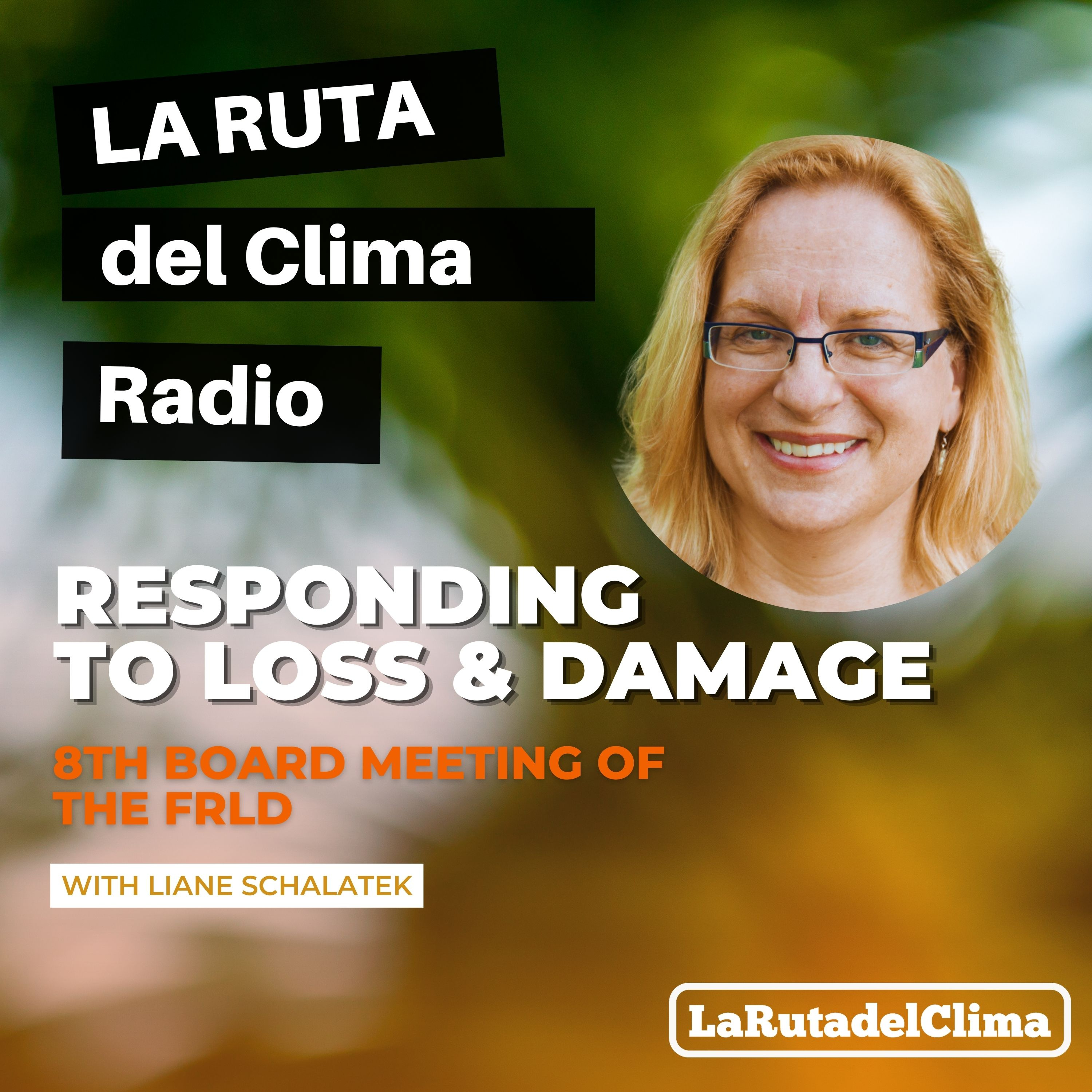 Responding to Loss & Damage: 8th Board Meeting FRLD episode artwork