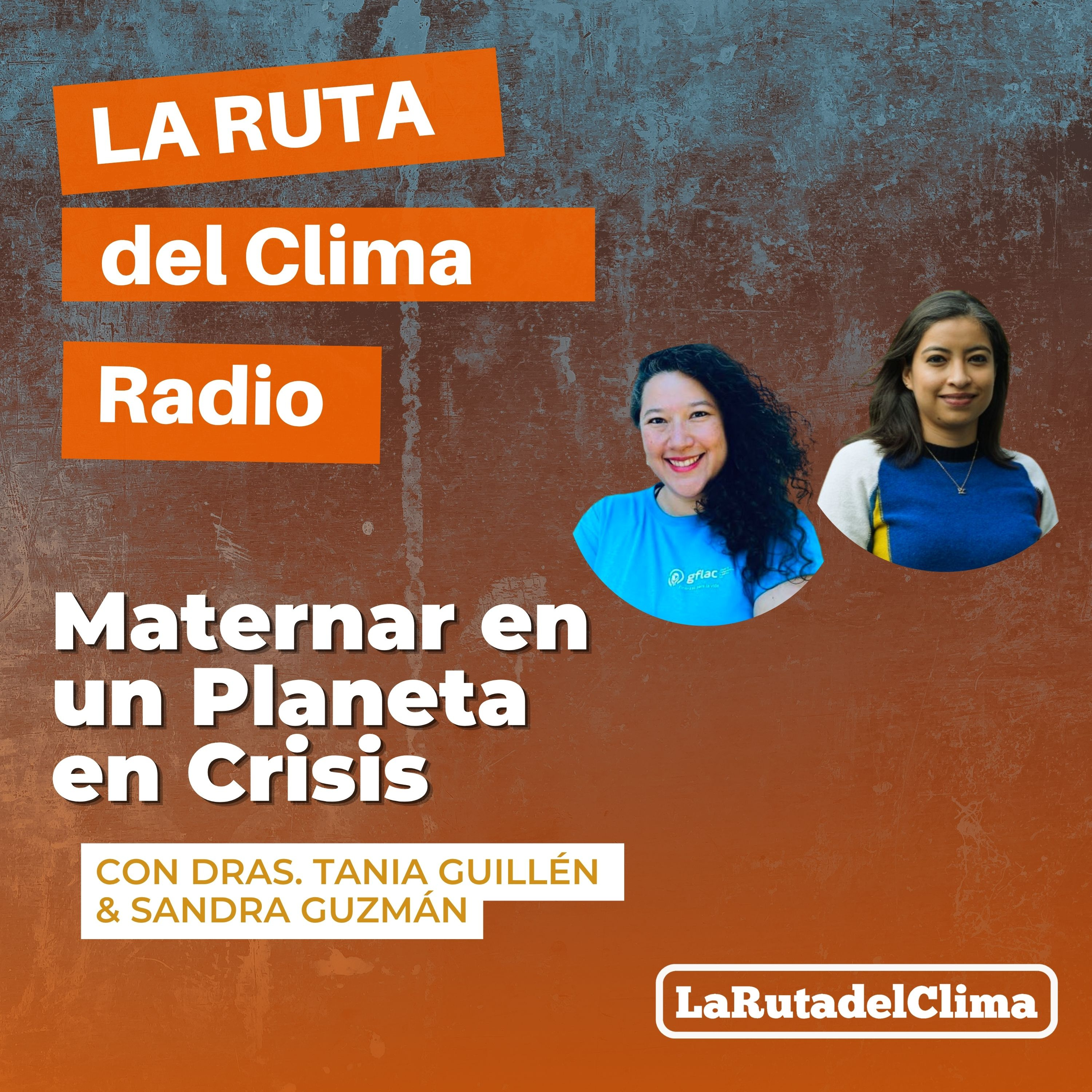 Maternar en un Planeta en Crisis episode artwork