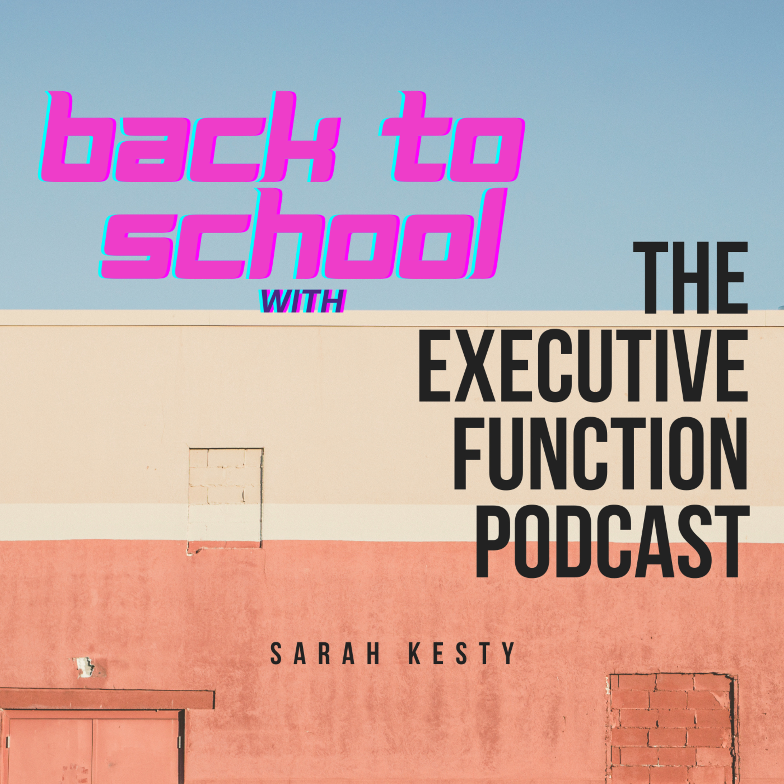 Back to School: Executive Function, Neurodiversity, and the Transition to College with Dr Tara Williams, Ep 91 episode artwork