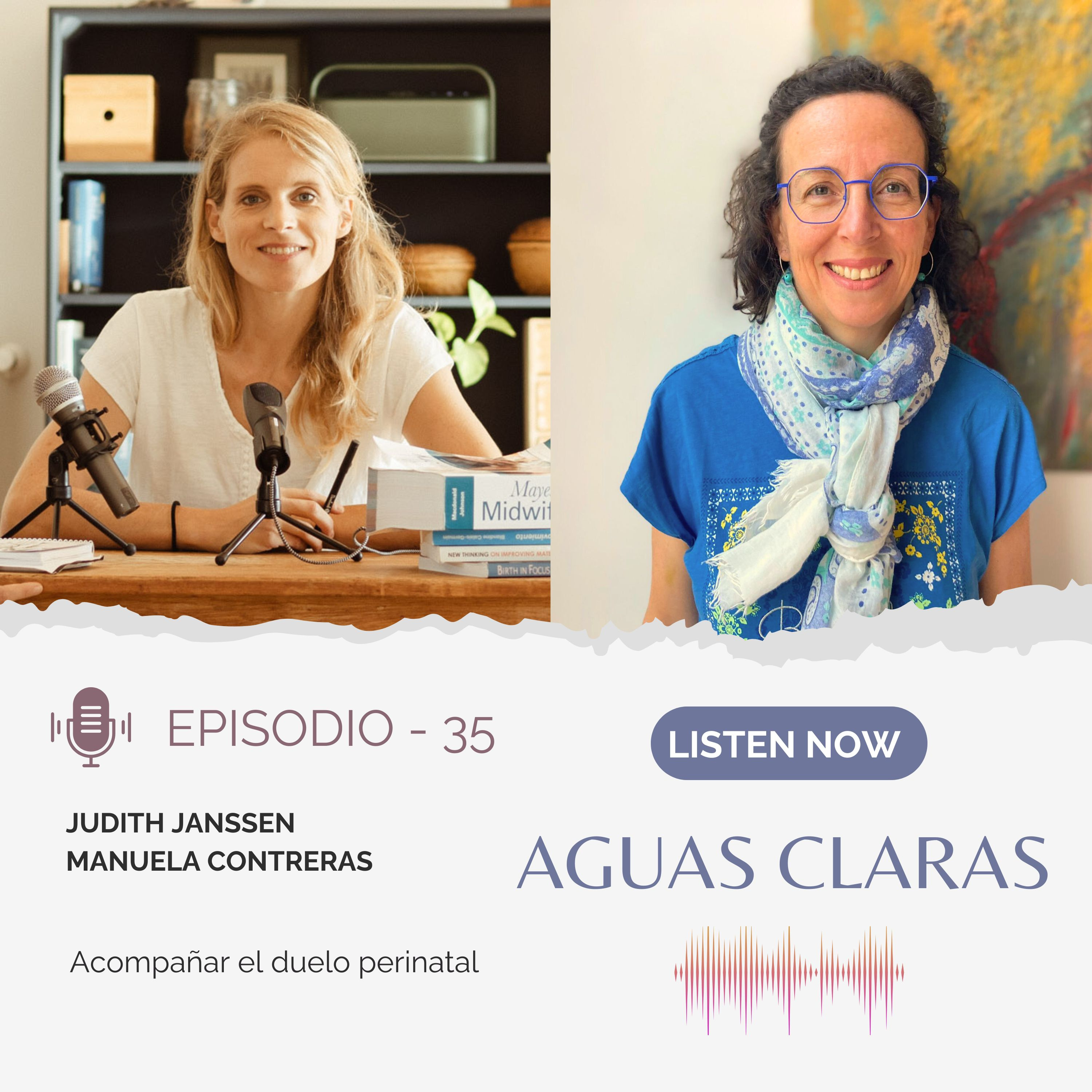#36 - Validar el Dolor, Reducir el Miedo: Cómo Acompañar el Duelo Perinatal episode artwork