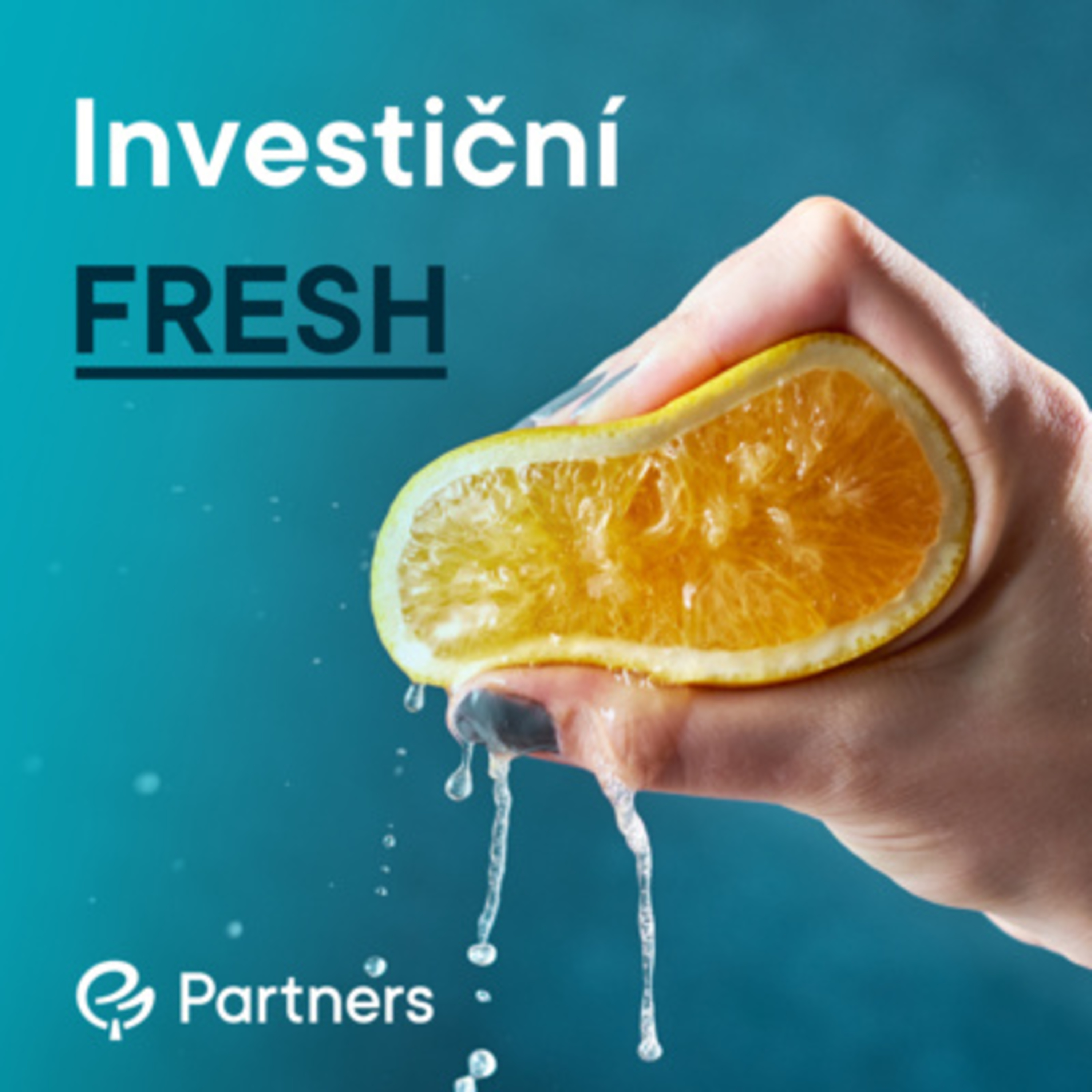 Partners Podcast