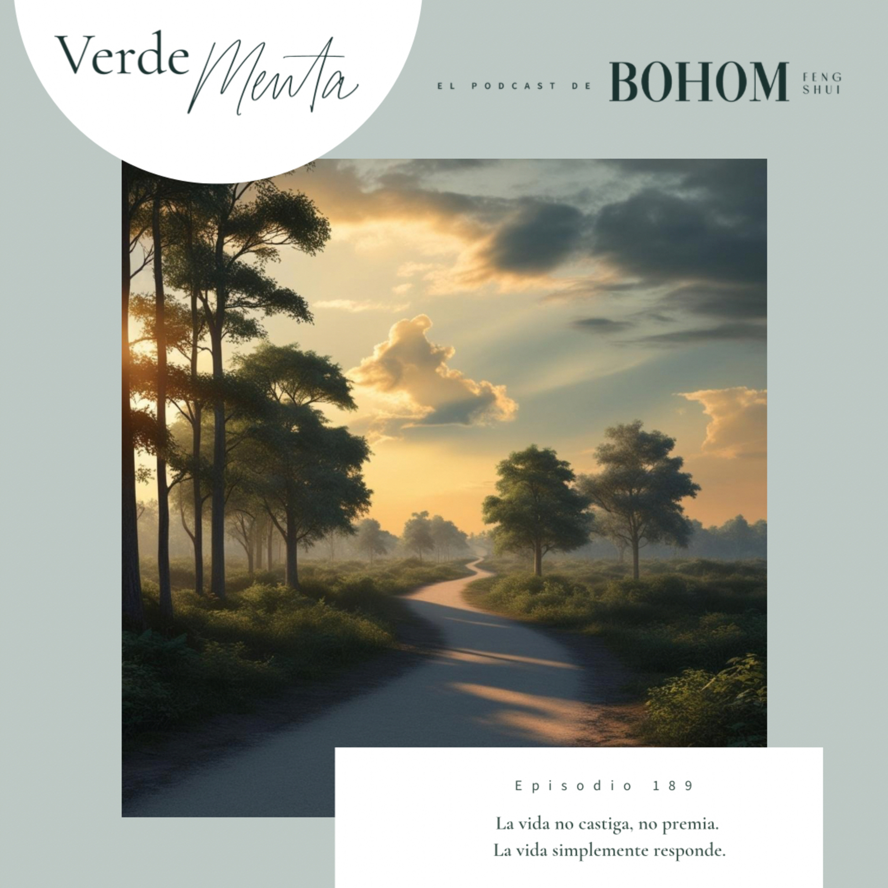 Episodio 188. La vida no castiga, no premia. La vida simplemente responde. episode artwork