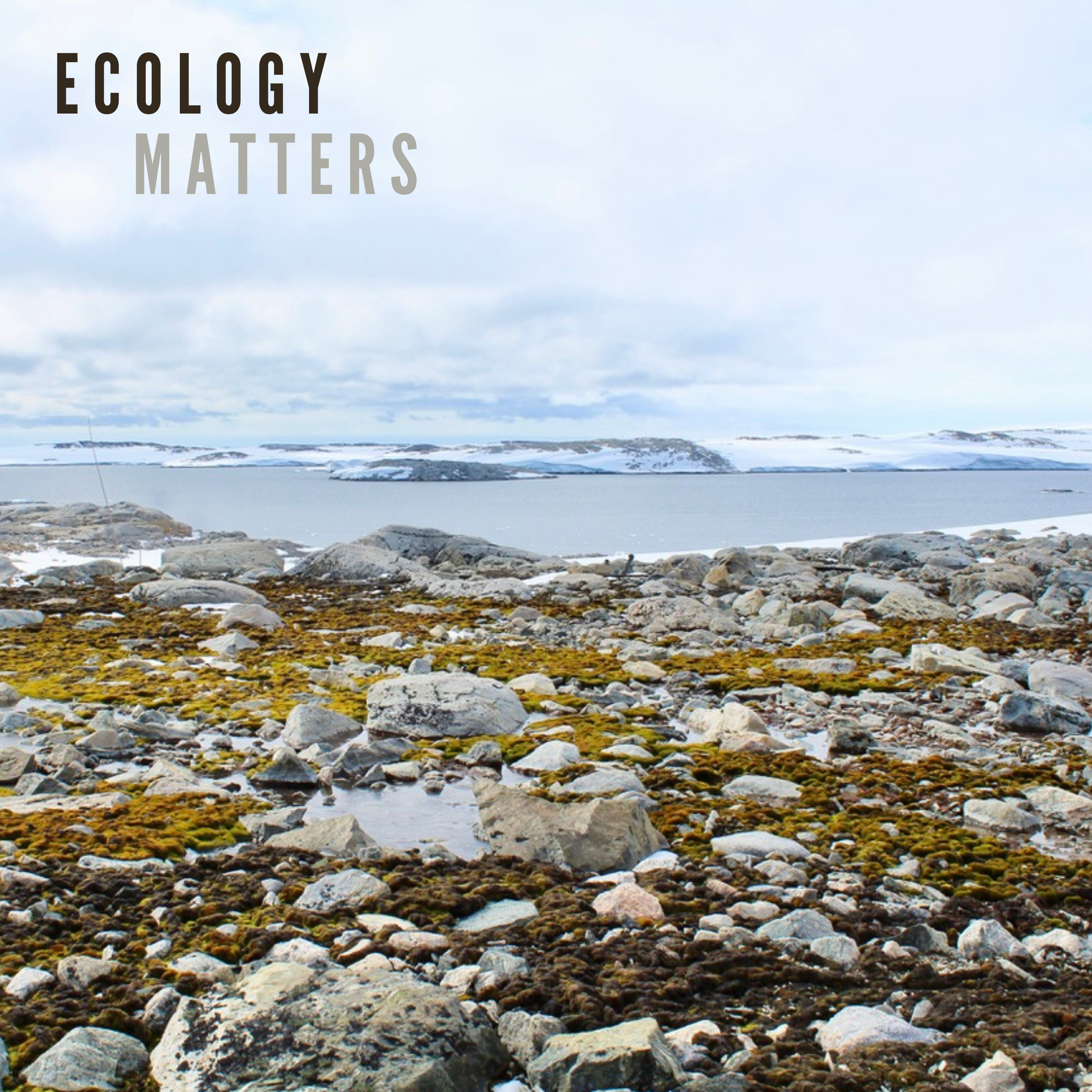 Ecology Matters