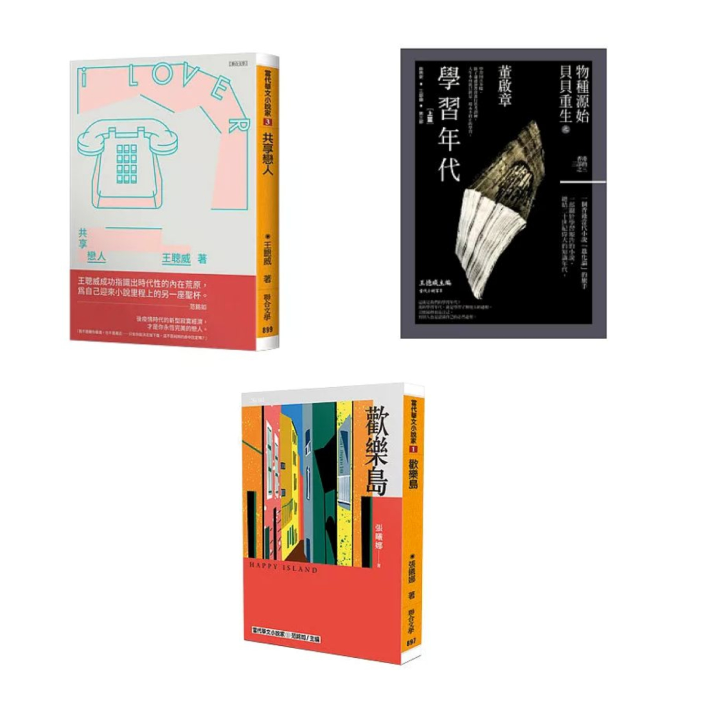 當代華文小說家系列2 聯合文學出版社 范銘如 在台灣,一般人只熟悉馬華作家,殊不知東南亞其他國家也有華文文學。 周詳 新書快報
