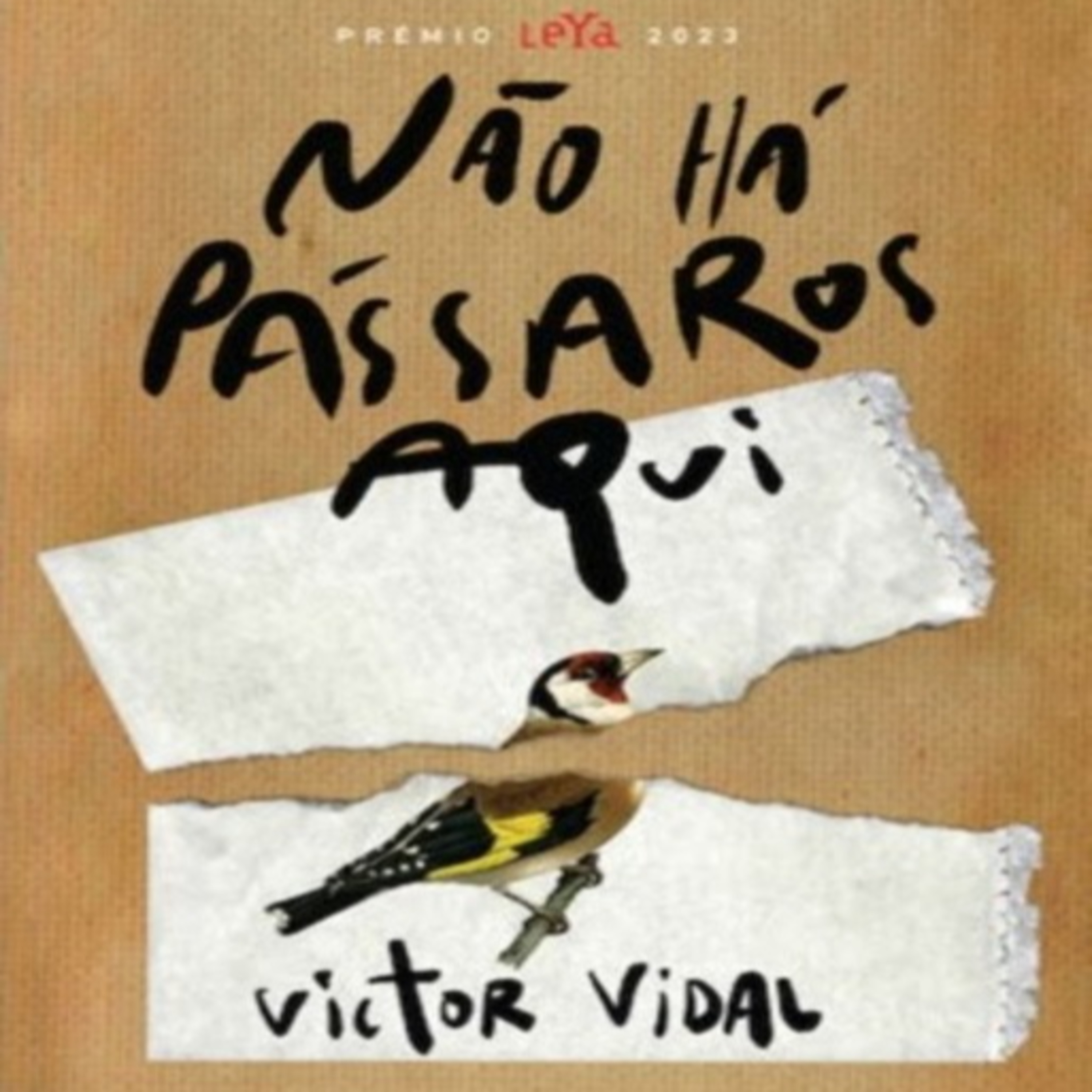 Episódio 509 (voz de Marta Ferreira) - Não Há Pássaros Aqui, Victor Vidal (Editora Leya) episode artwork