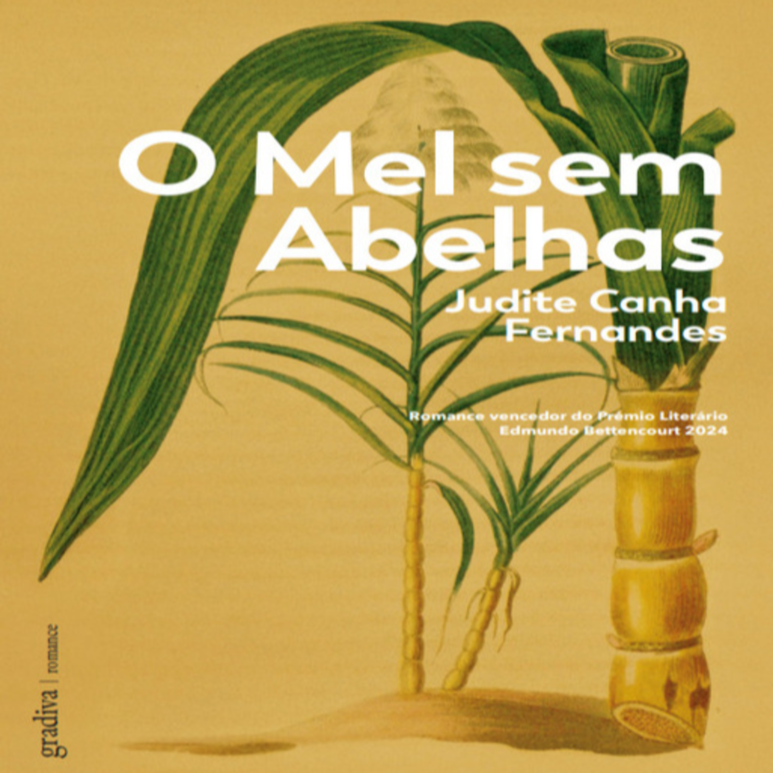 Episódio 516 (voz de Sara de Almeida Leite) – O Mel Sem Abelhas, Judite Canha Fernandes (Editora Gradiva) episode artwork