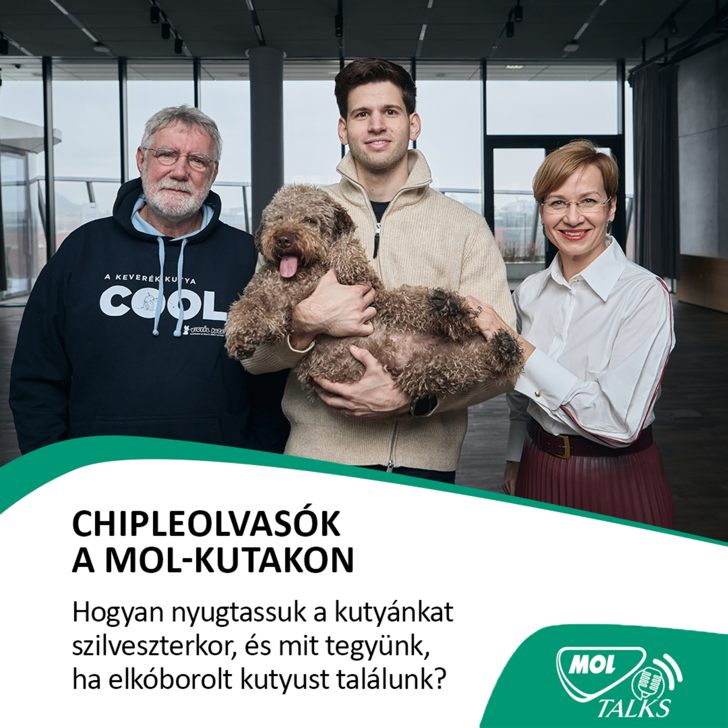 Chipleolvasók a Mol-kutakon - MOL Talks #10