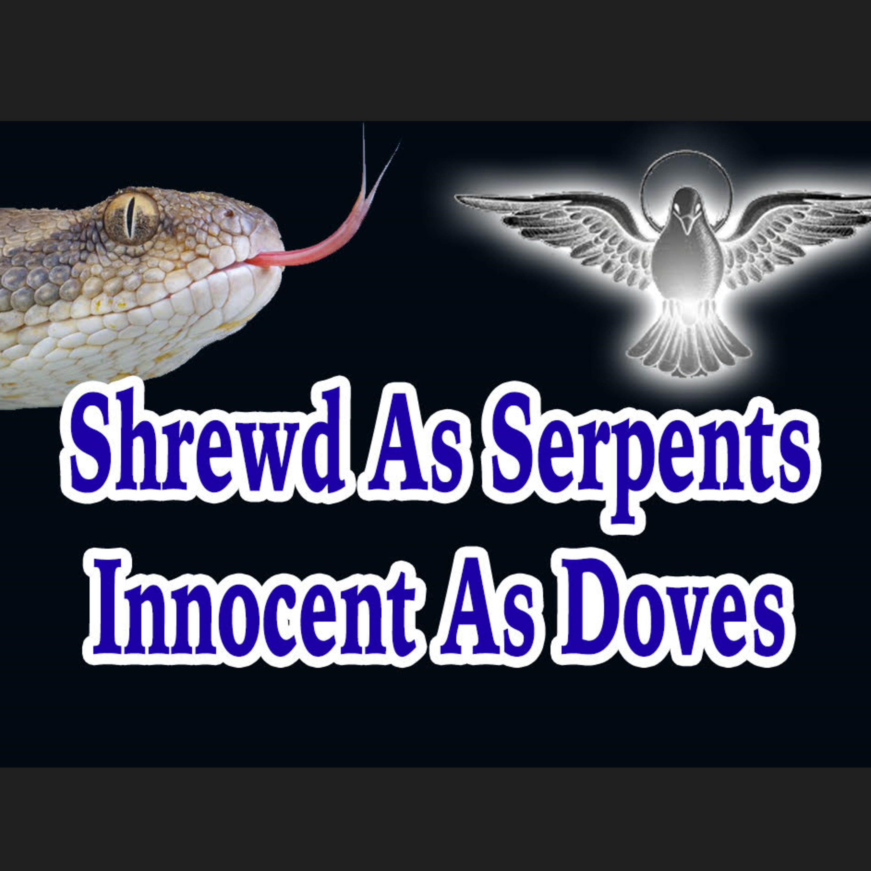 Shrewd as Serpents and Innocent as Doves episode artwork