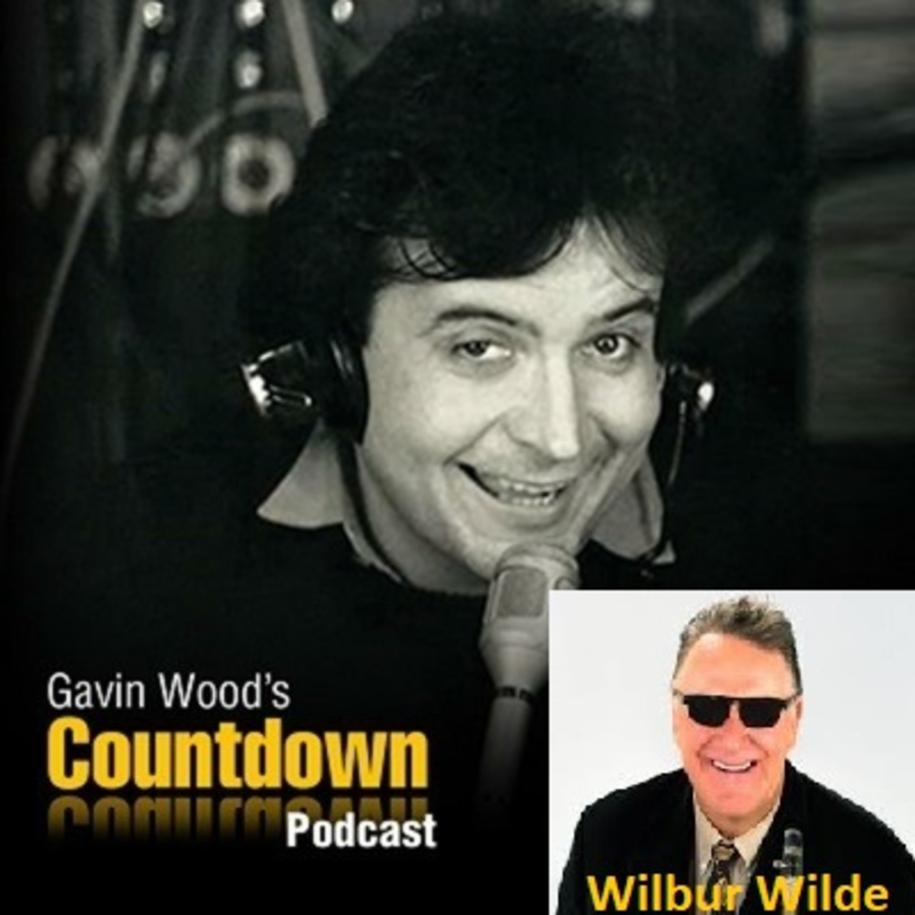 Gavin Wood\'s Podcast