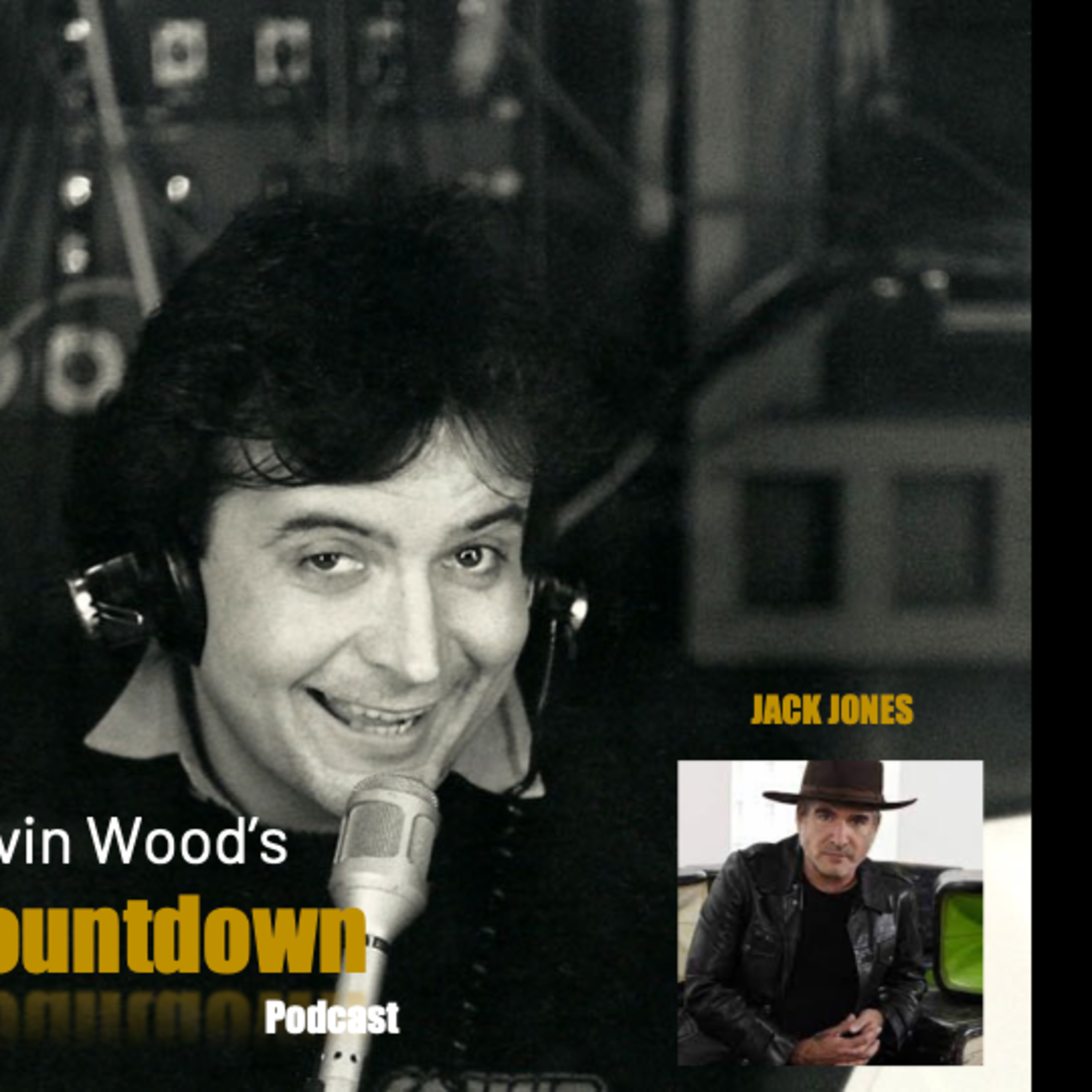 Gavin Wood\'s Podcast