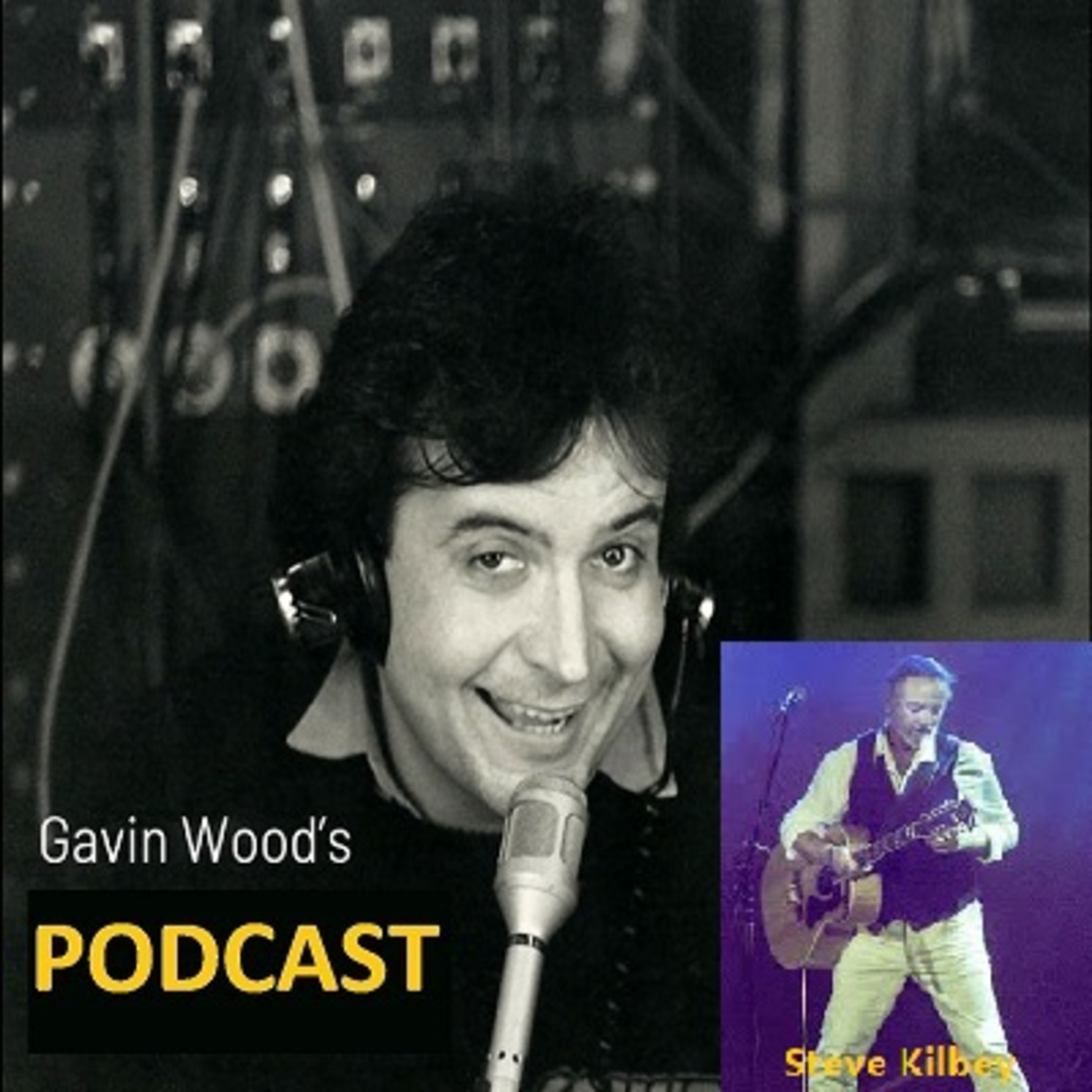 Gavin Wood\'s Podcast