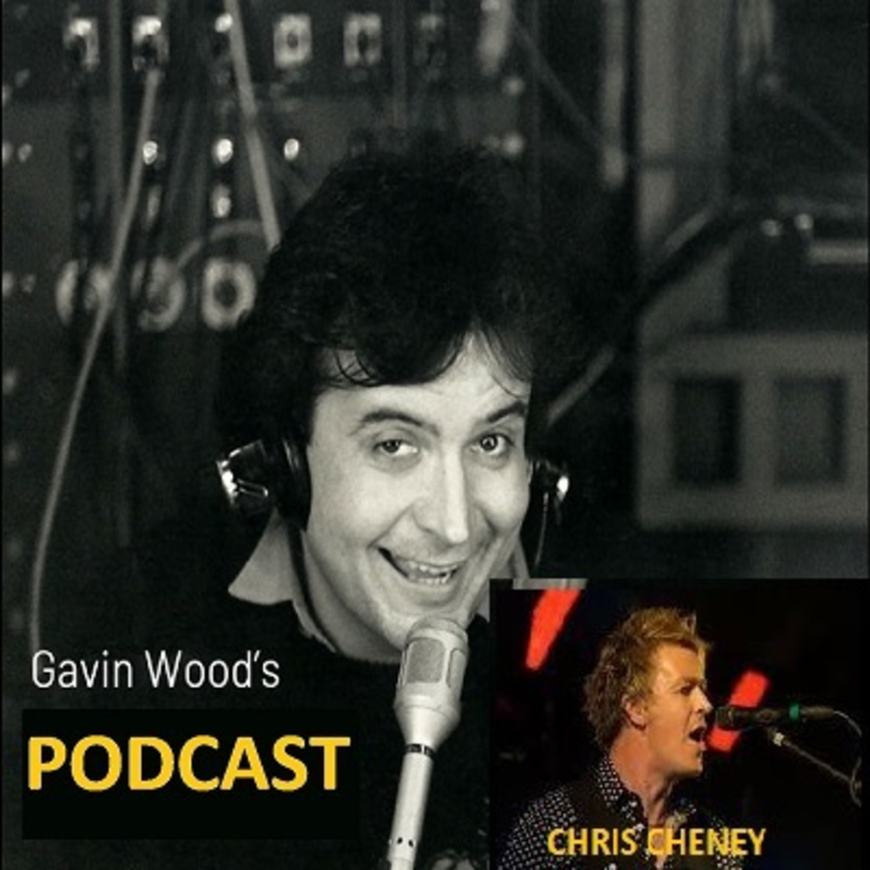 Gavin Wood\'s Podcast