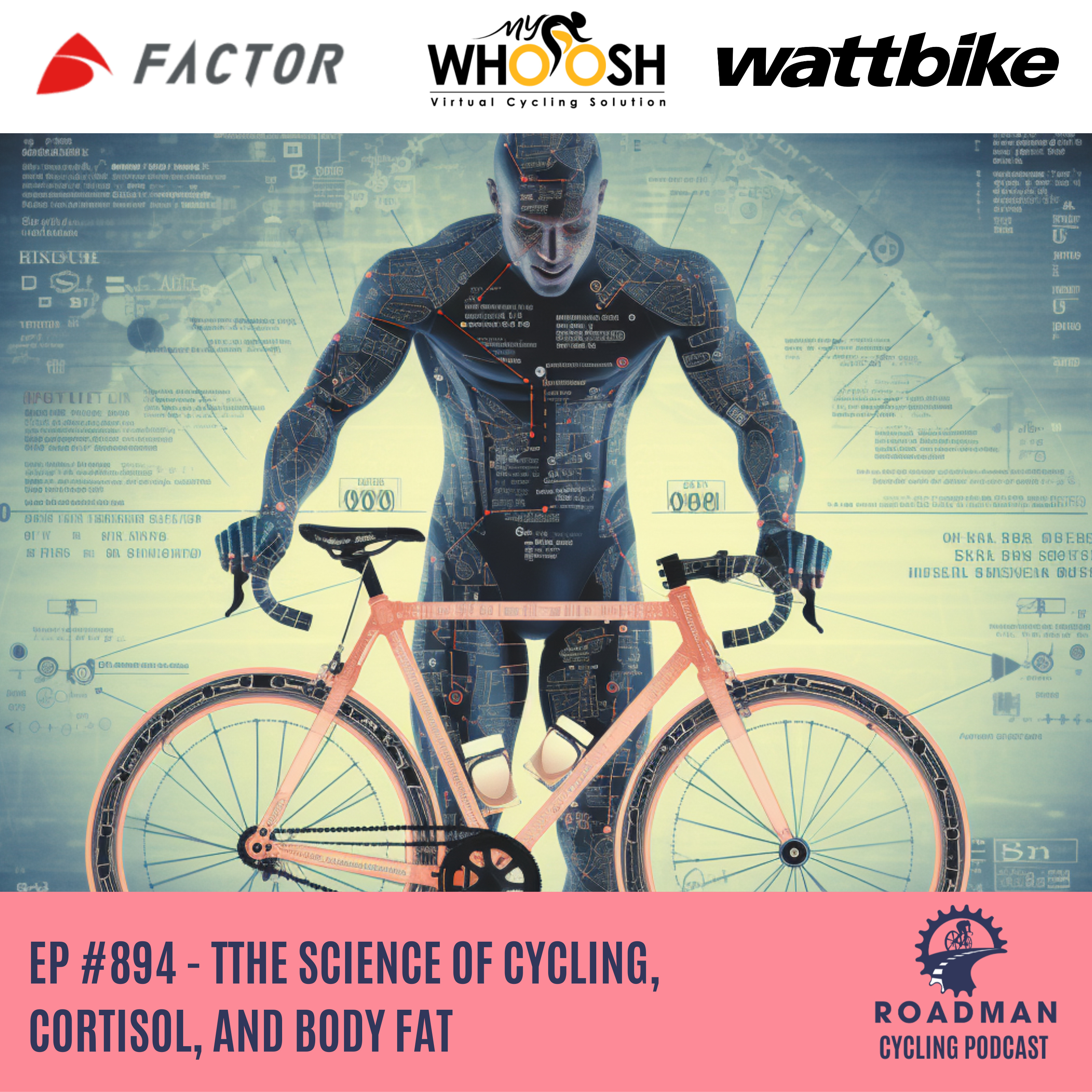 The Science of Cycling, Cortisol, and Body Fat