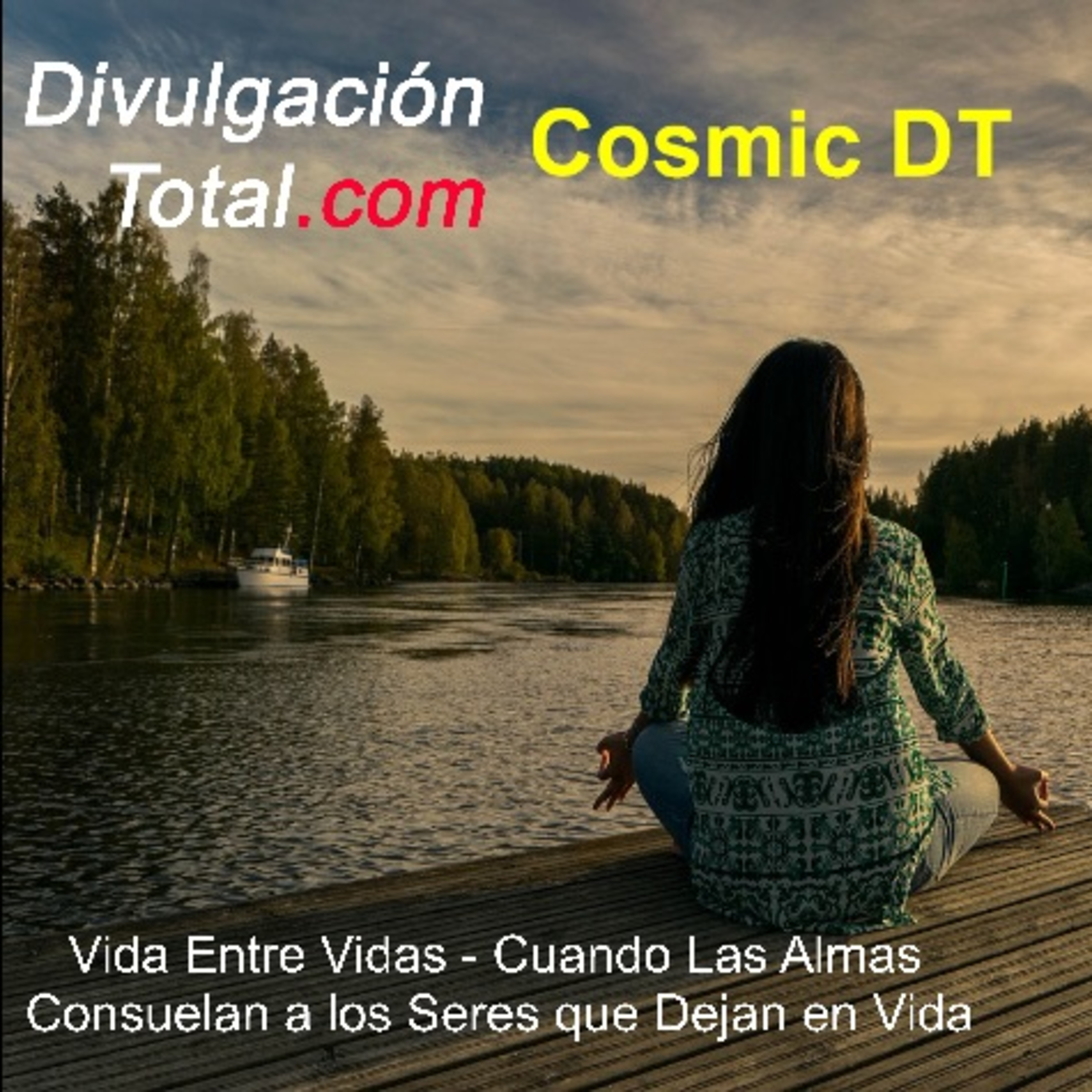 Vida Entre Vidas - Cuando las Almas Consuelan a los que Quedan En Vida episode artwork