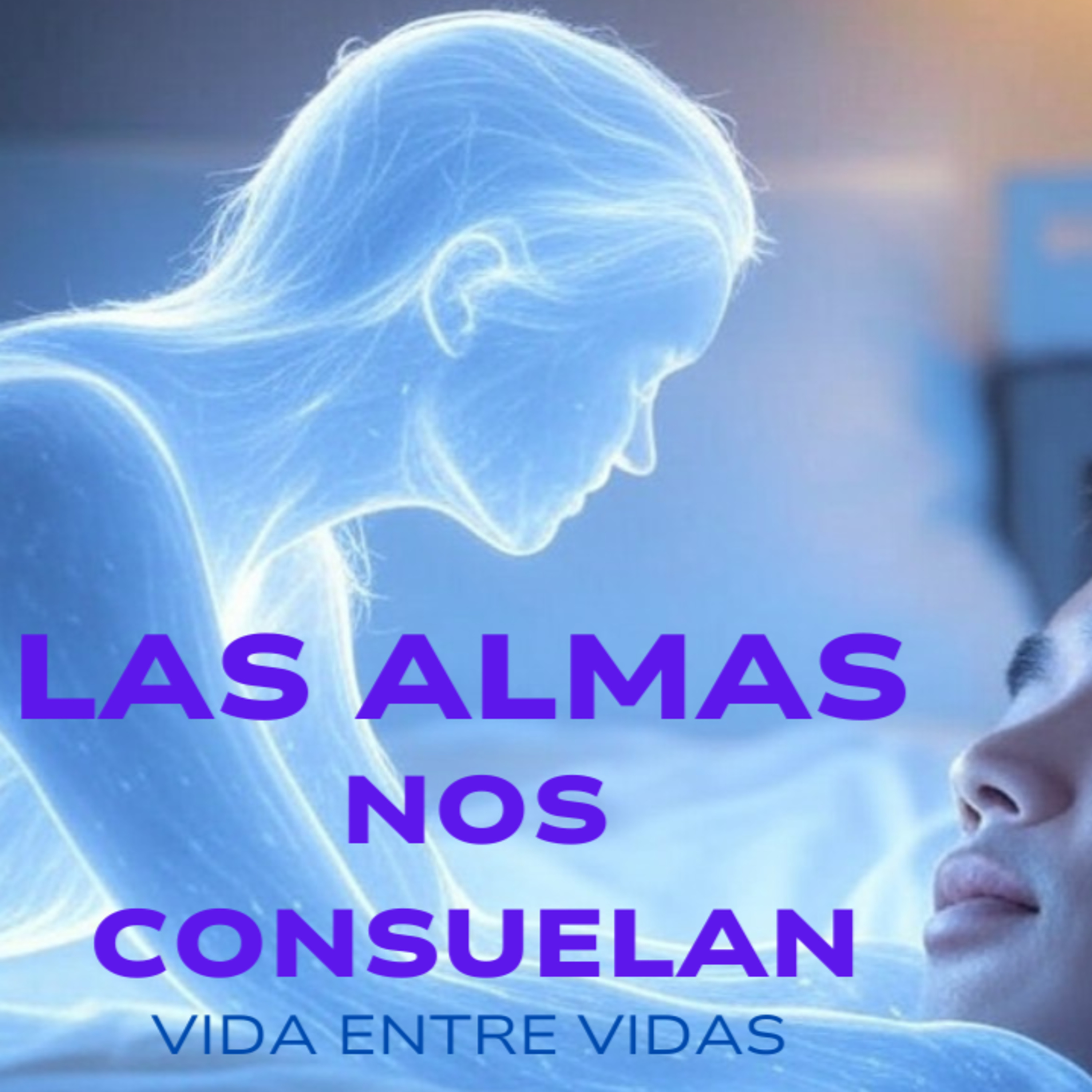 Vida Entre Vidas - Casos 6 y 7 - Las Almas Que Se Van Nos Consuelan episode artwork