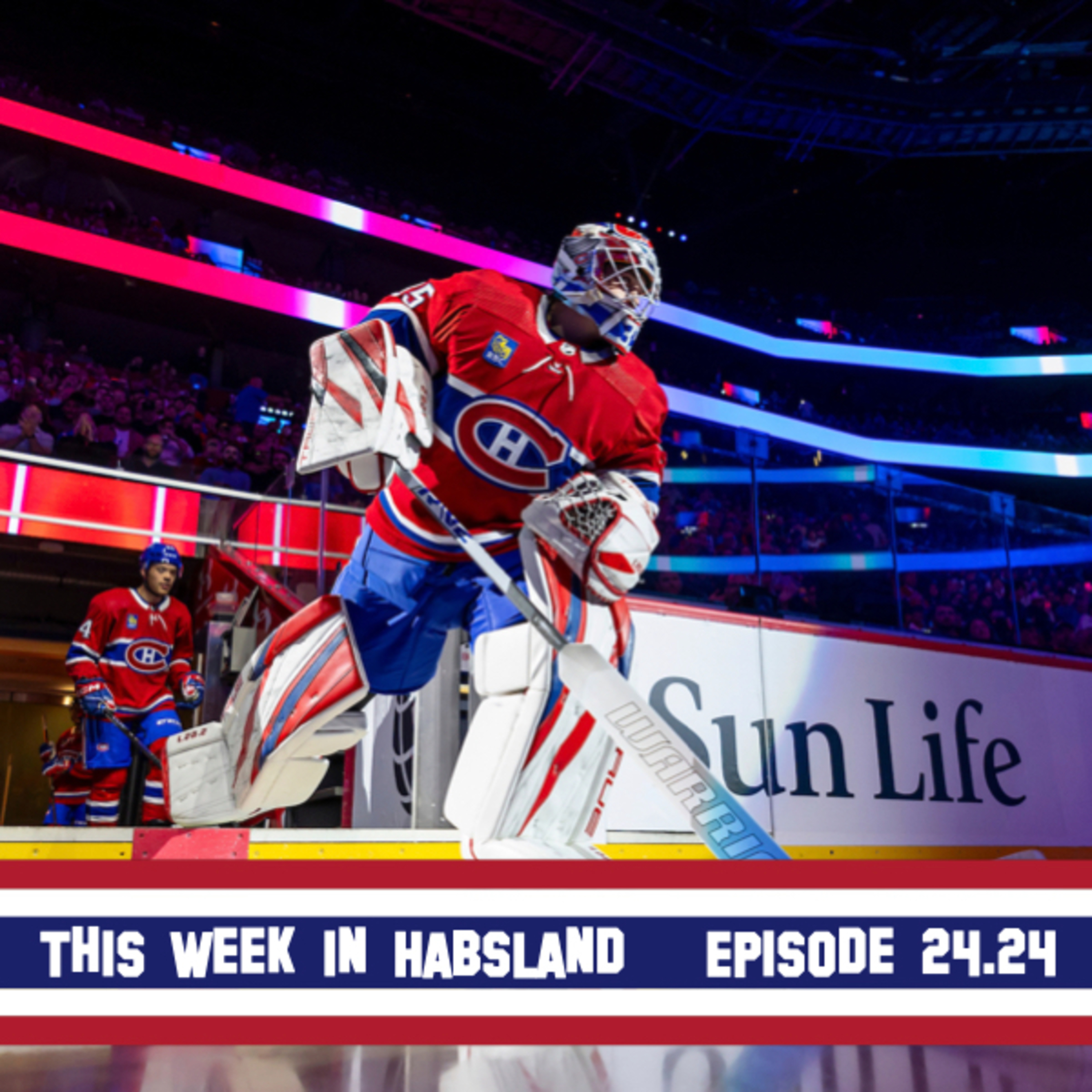 This Week in Habsland