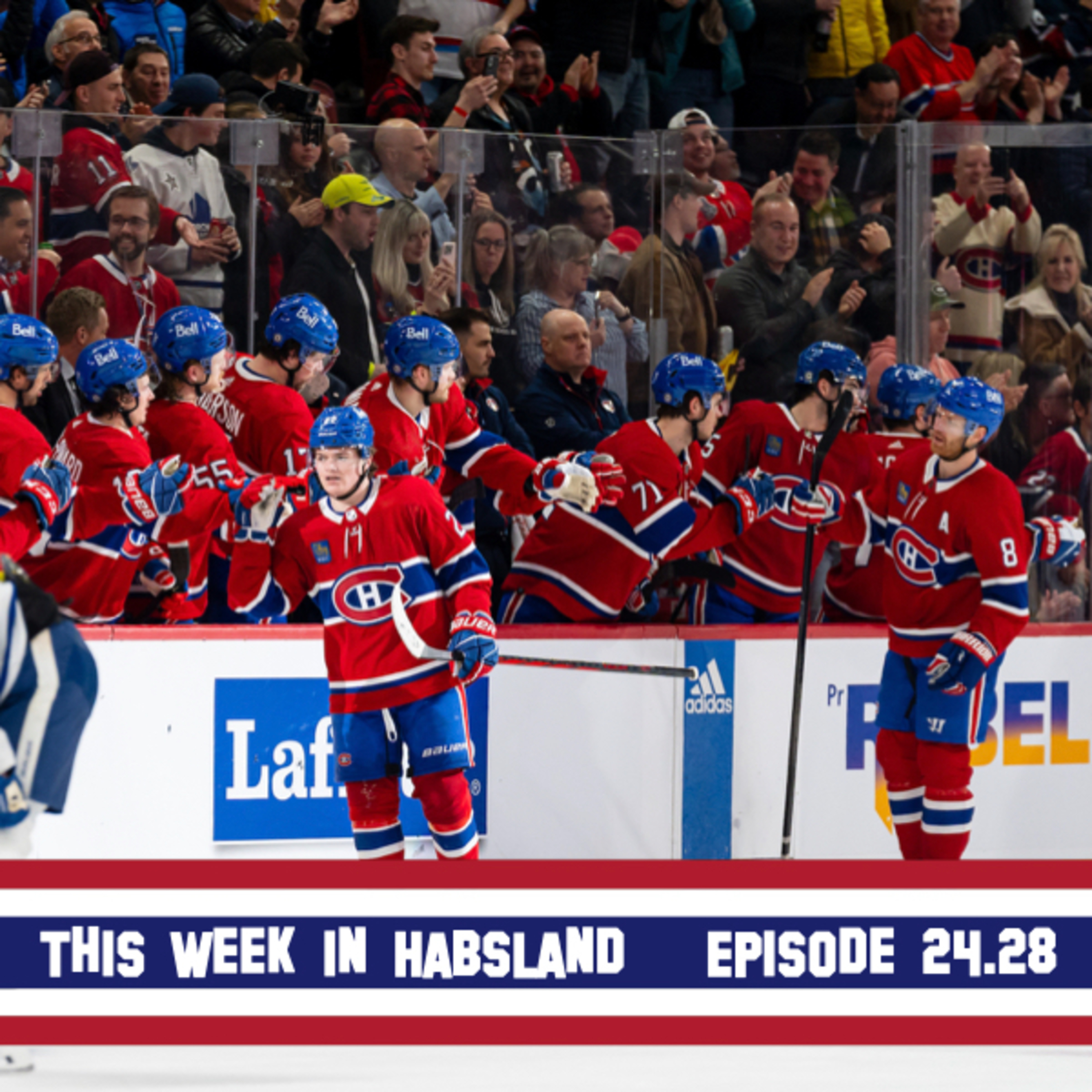 This Week in Habsland