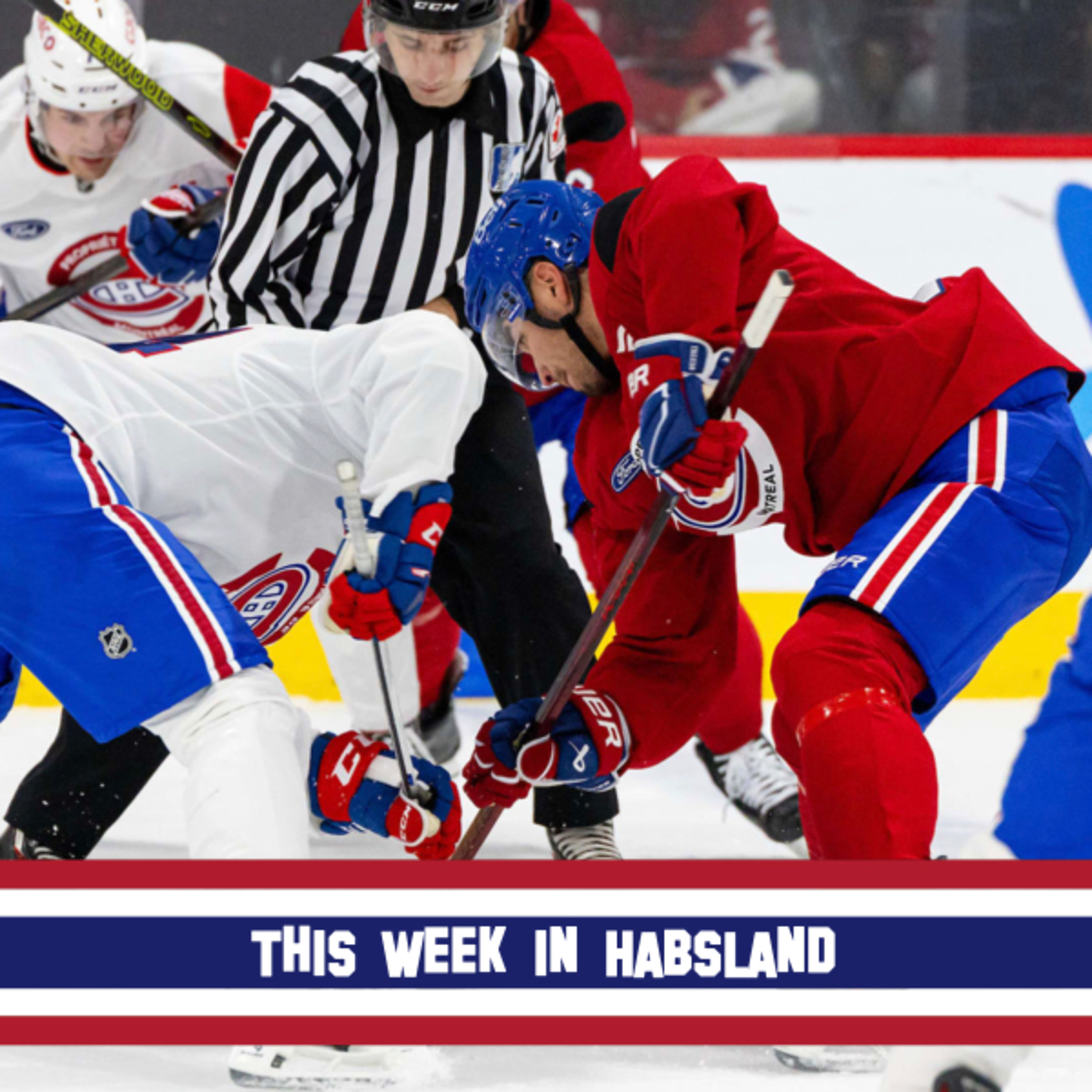 This Week in Habsland
