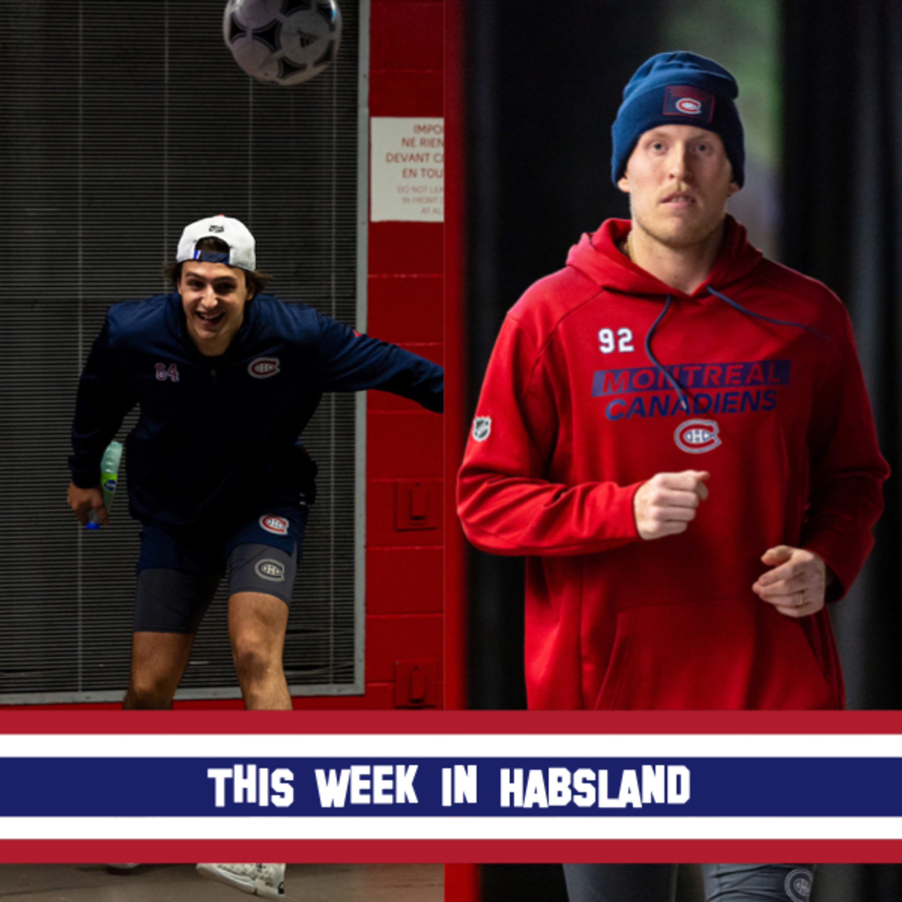 This Week in Habsland