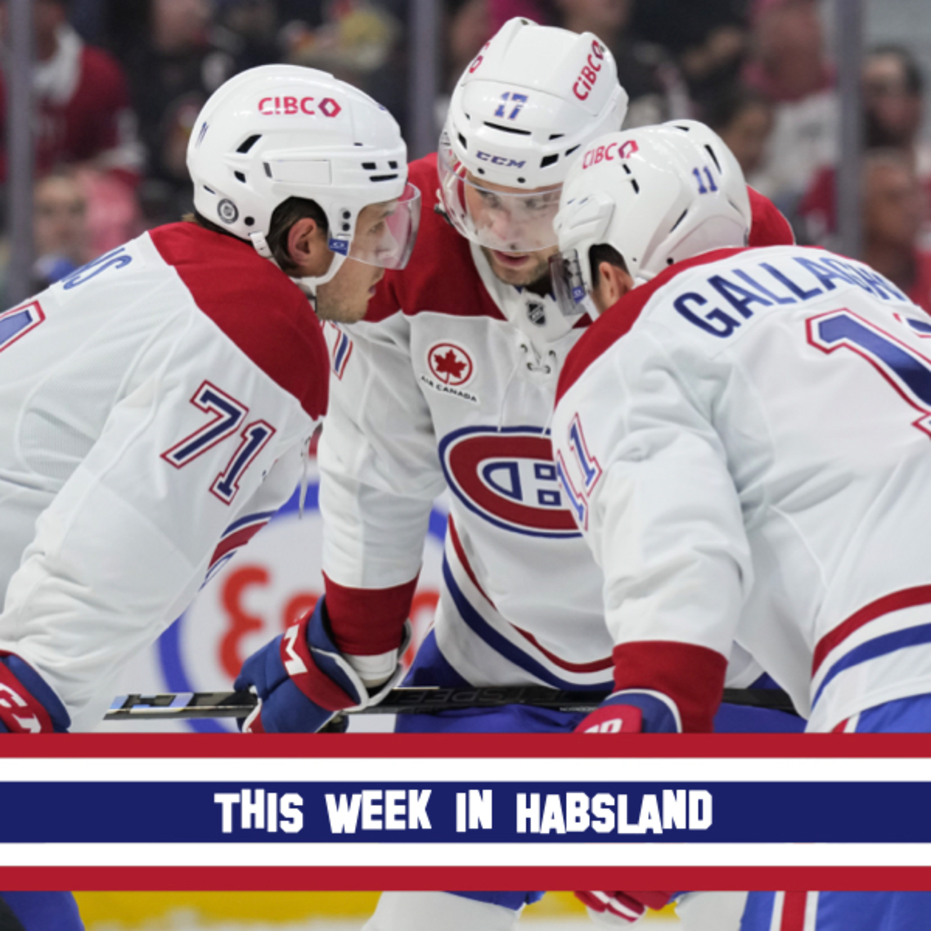 This Week in Habsland