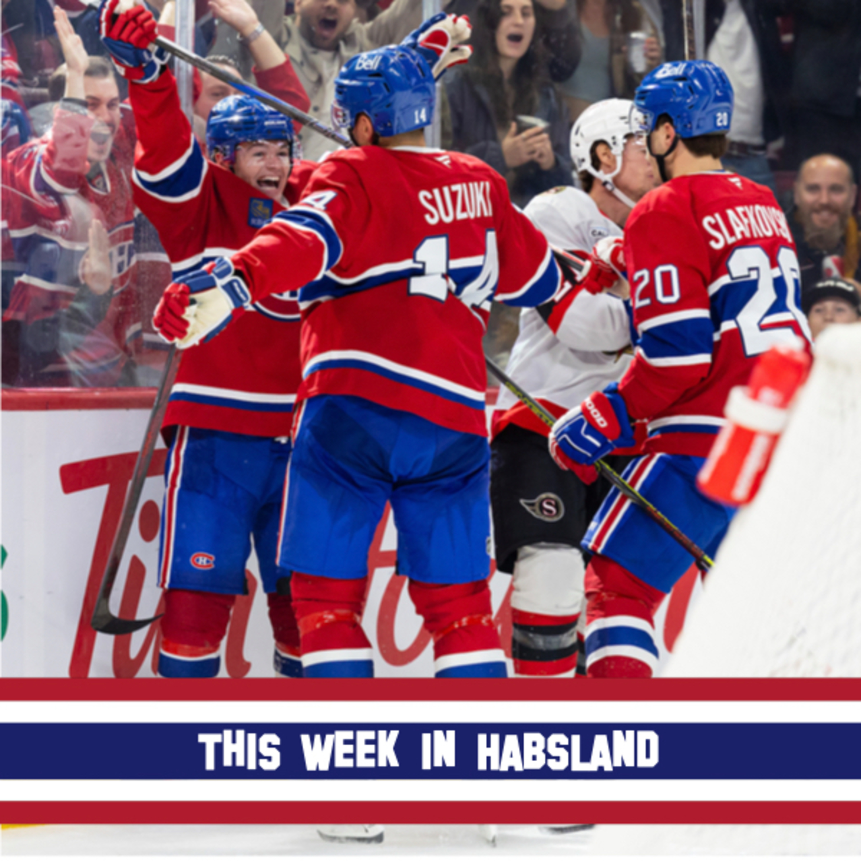 This Week in Habsland