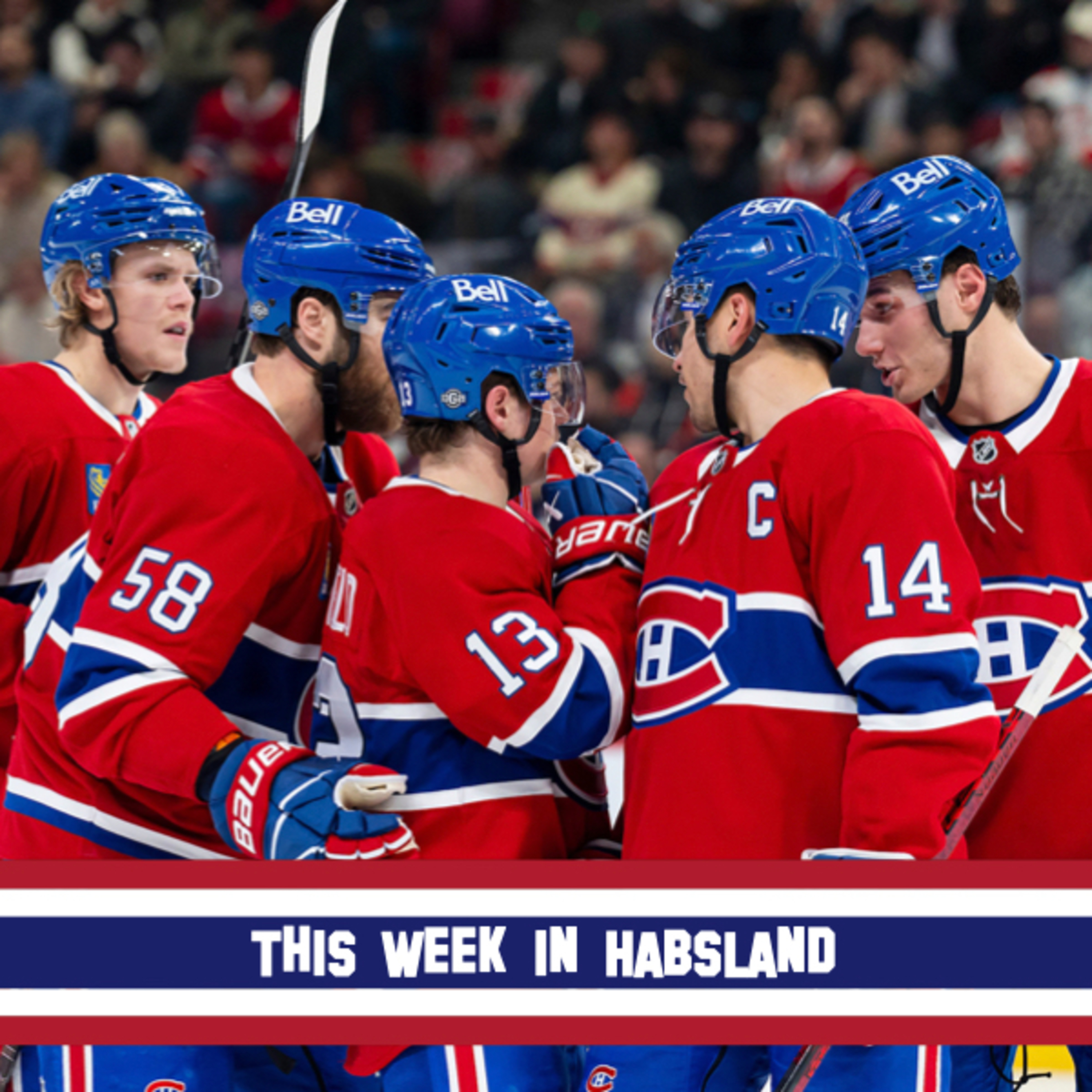 This Week in Habsland
