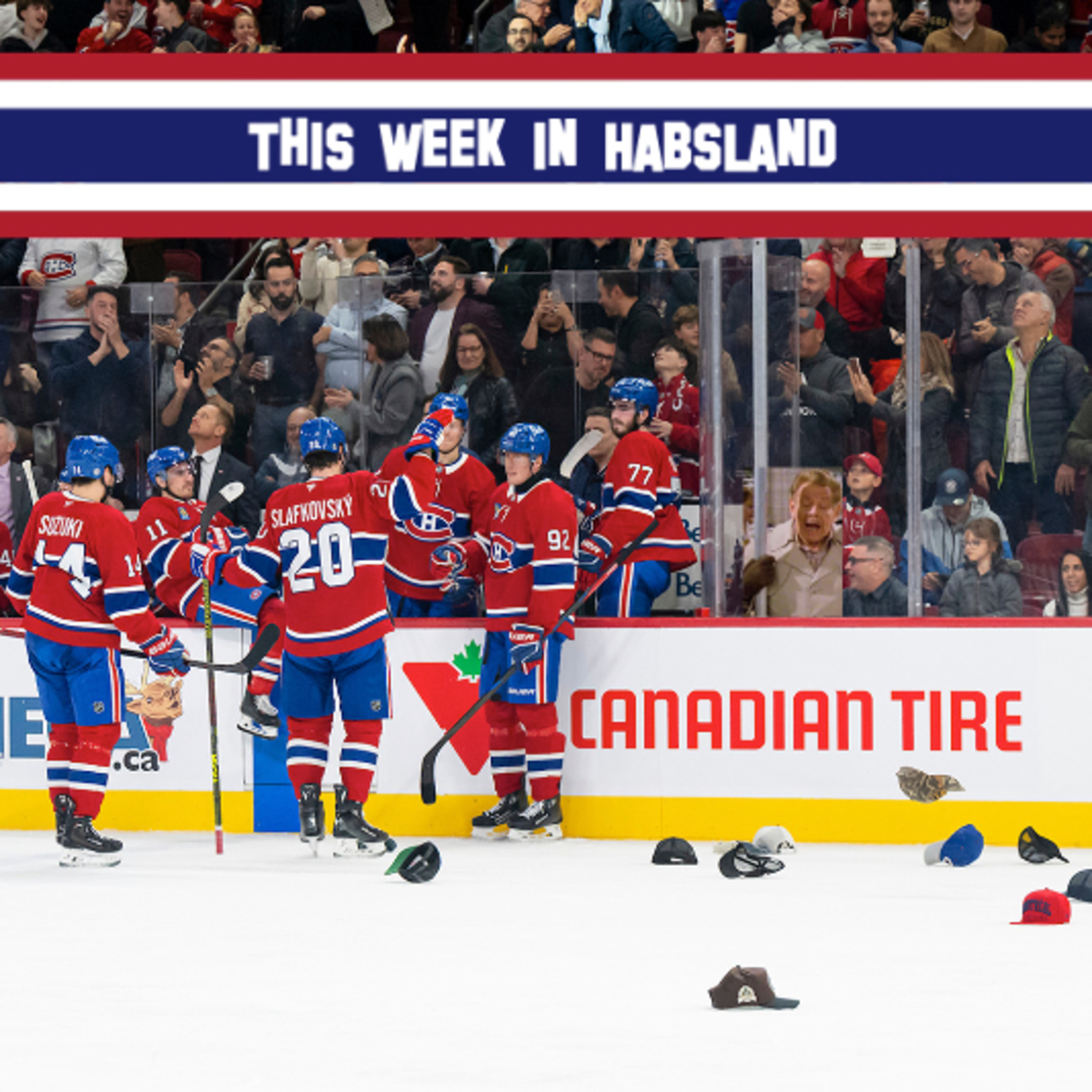 This Week in Habsland