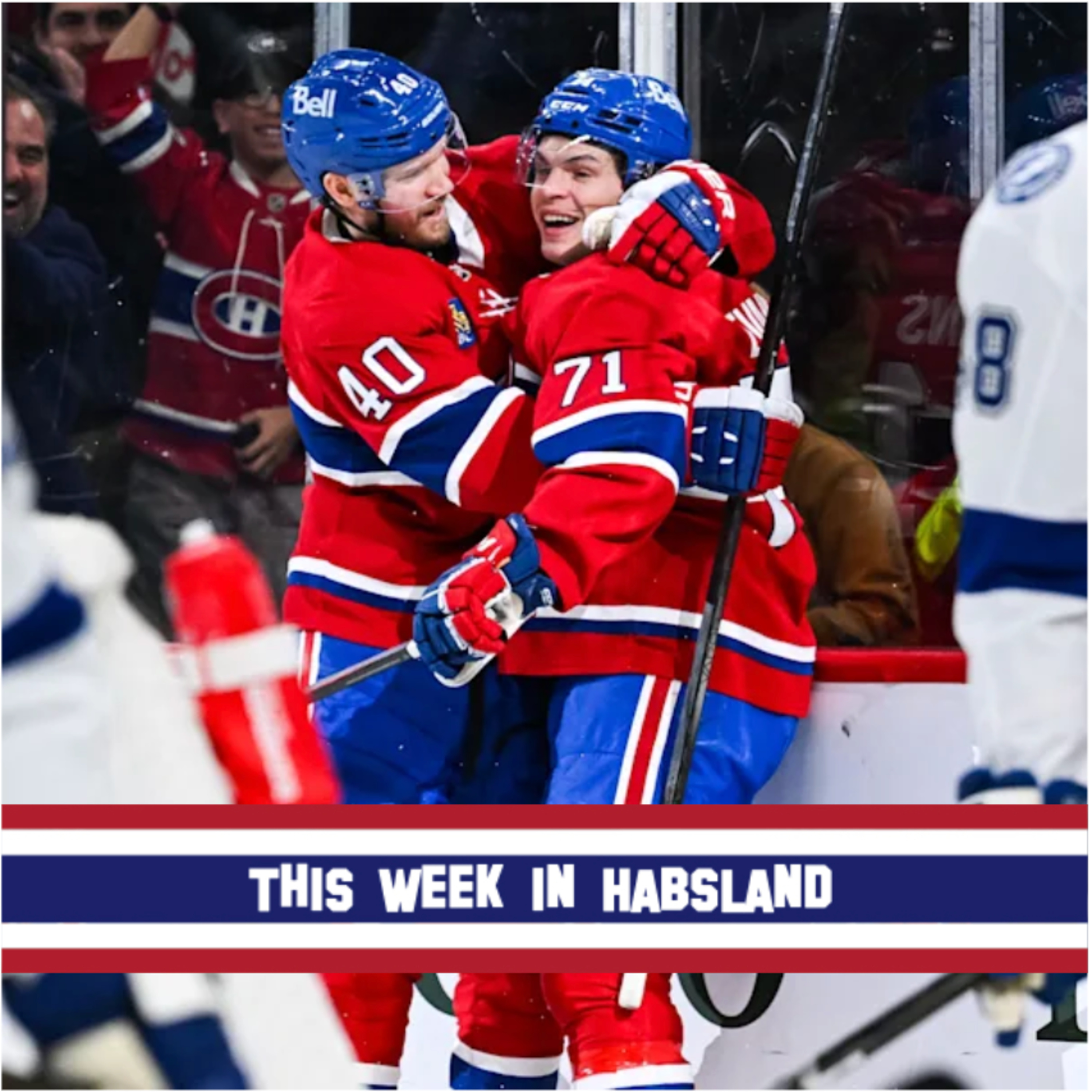 This Week in Habsland
