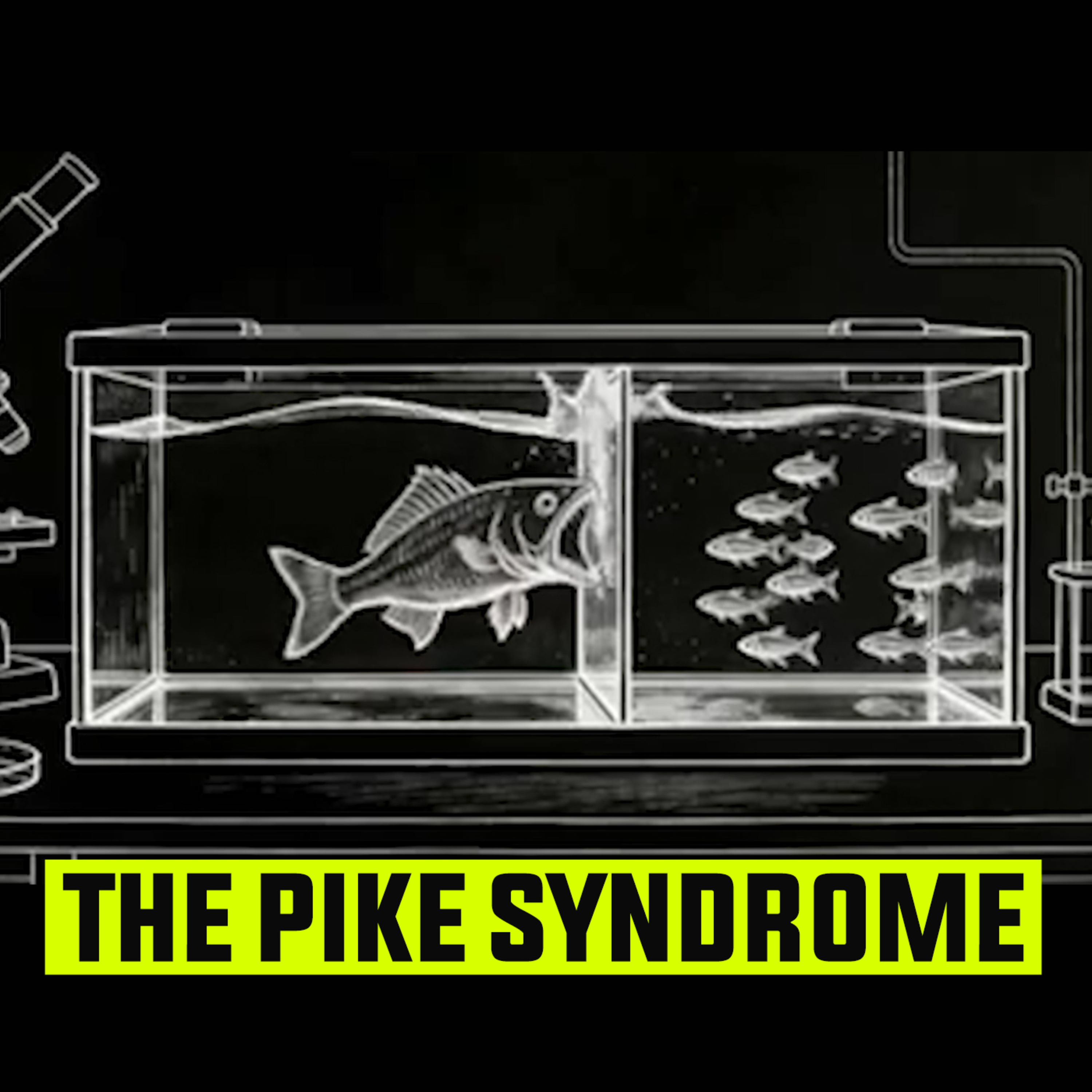 The Cruel Experiment That Explains Why You’re Stuck (Pike Syndrome) episode artwork