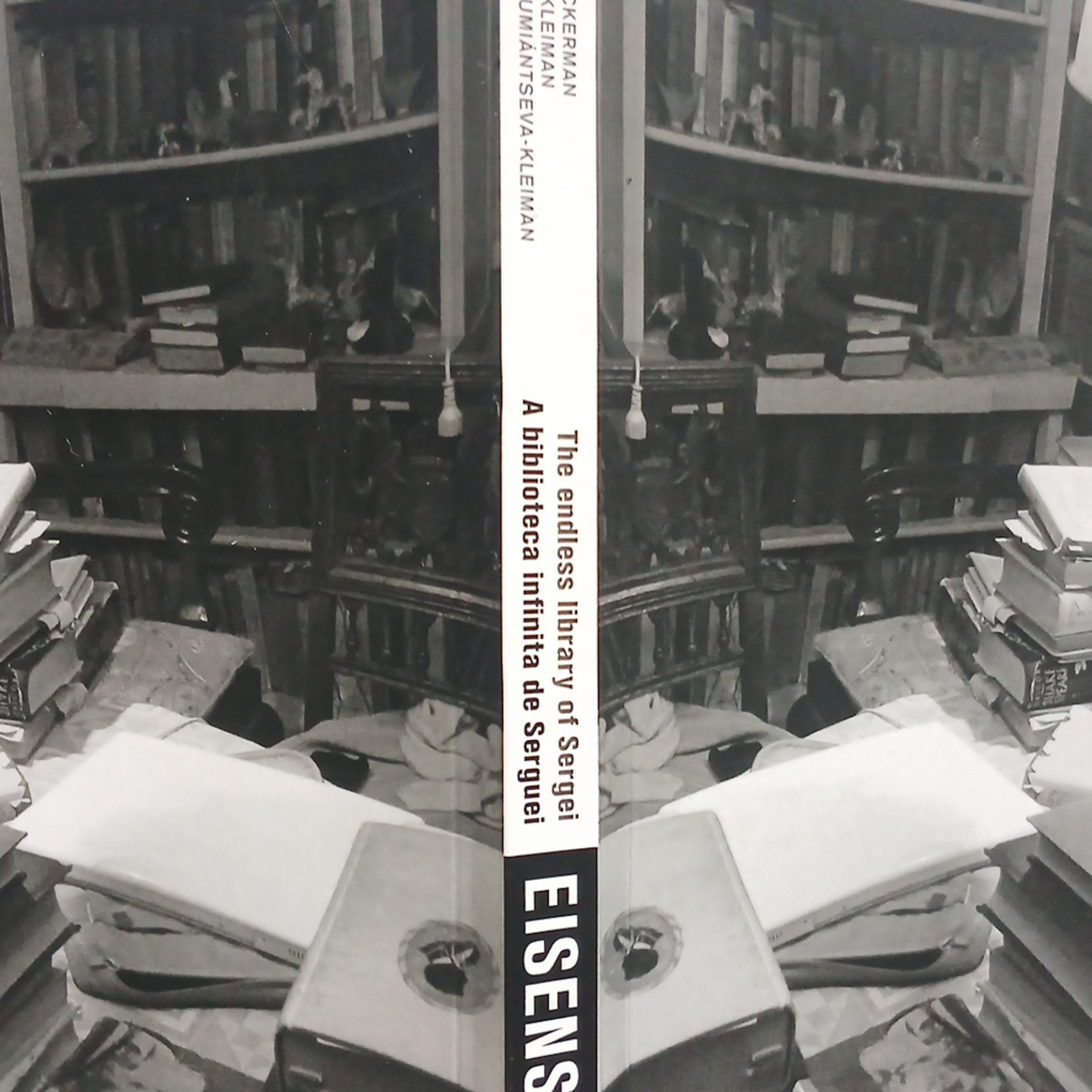 Uma biblioteca no mundo (sobre “A biblioteca infinita de Serguei Eisenstein”) episode artwork