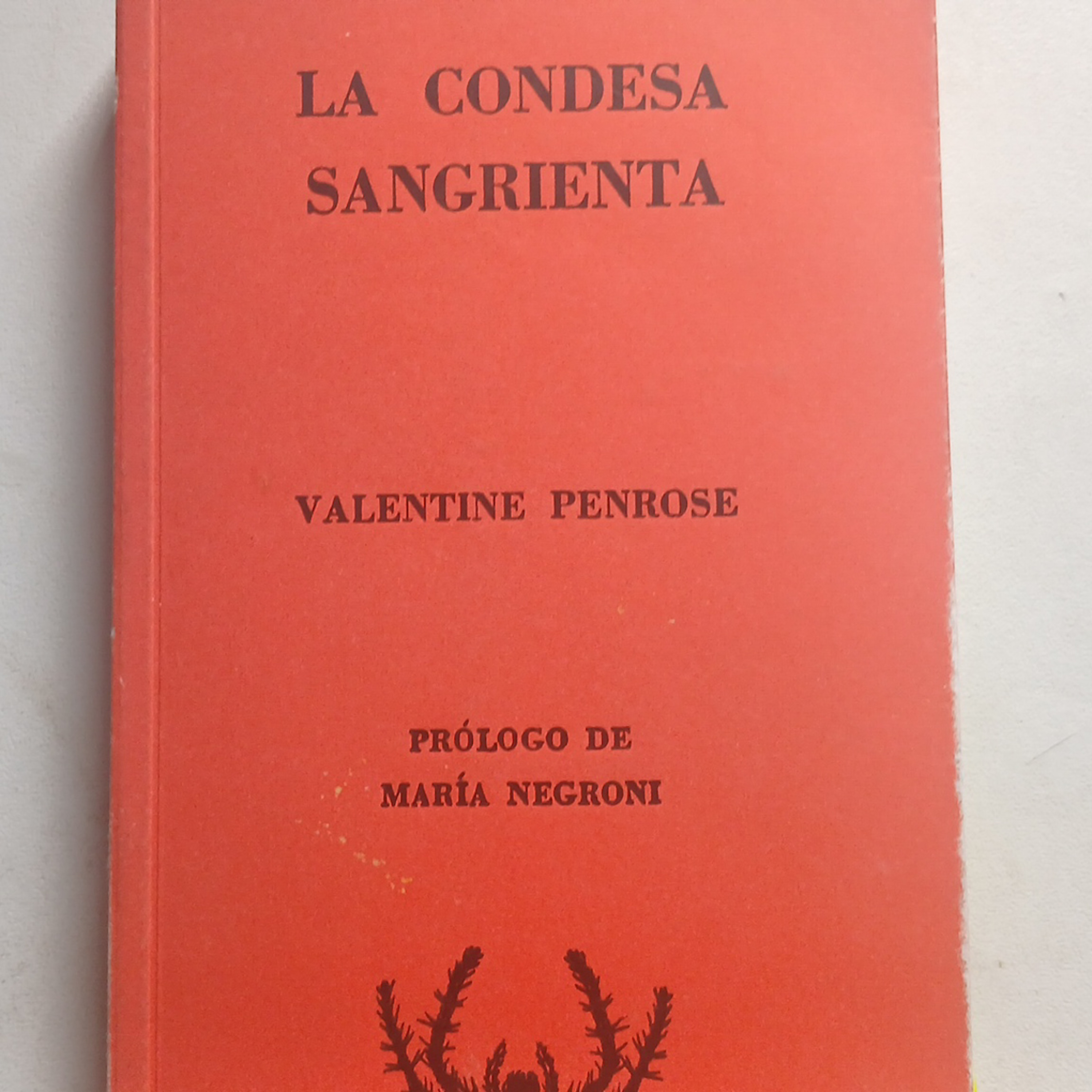 Rios e oceanos de sangue (“La Condesa Sangrienta”, de Valentine Penrose) episode artwork