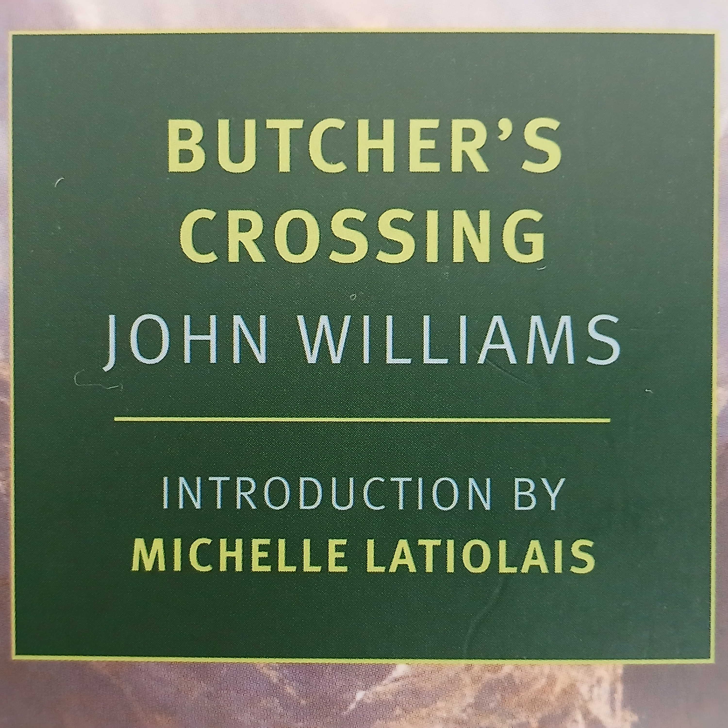 A multiplicidade da extinção (“Butcher’s Crossing”, de John Williams) episode artwork