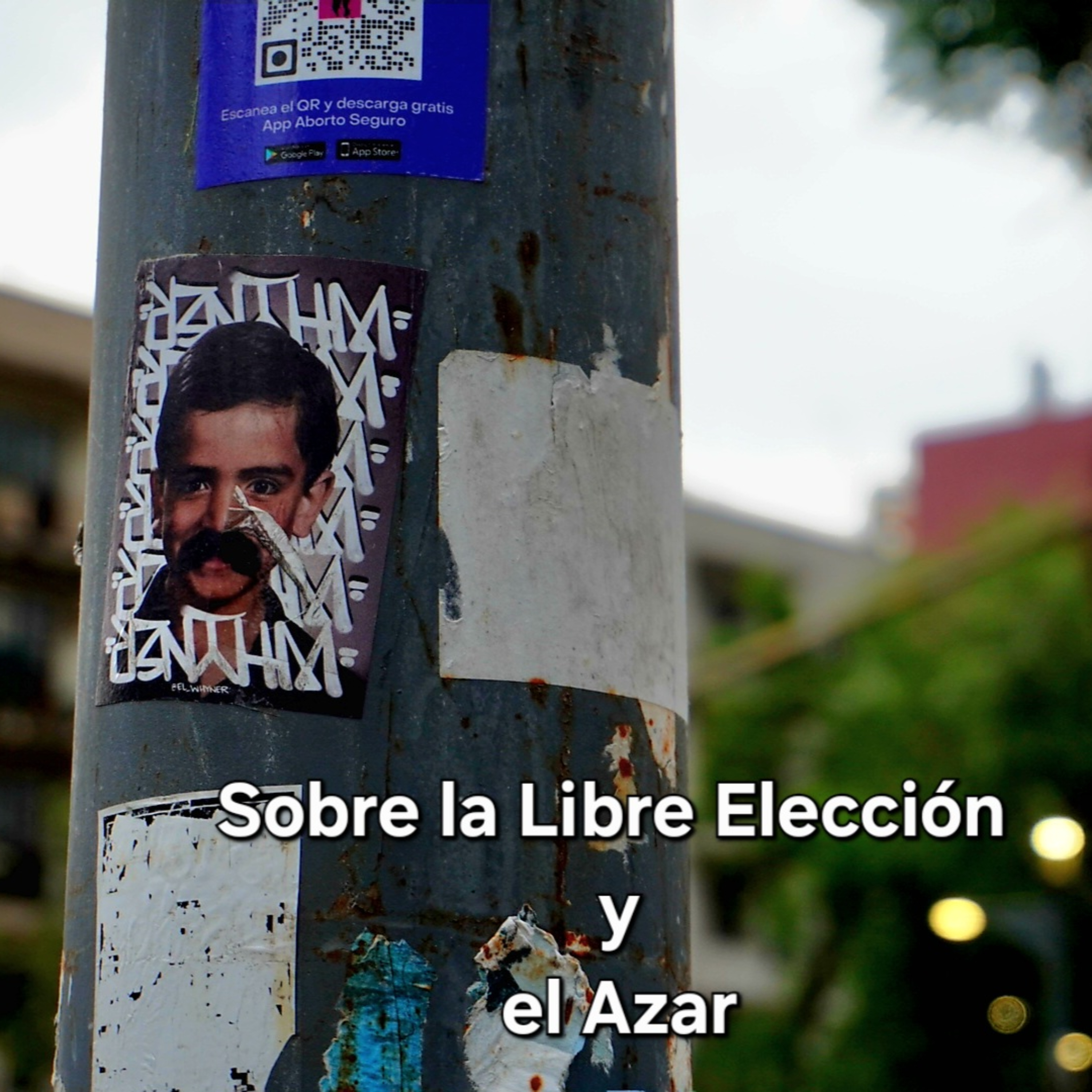 Filosofía Para Leer al Mundo
