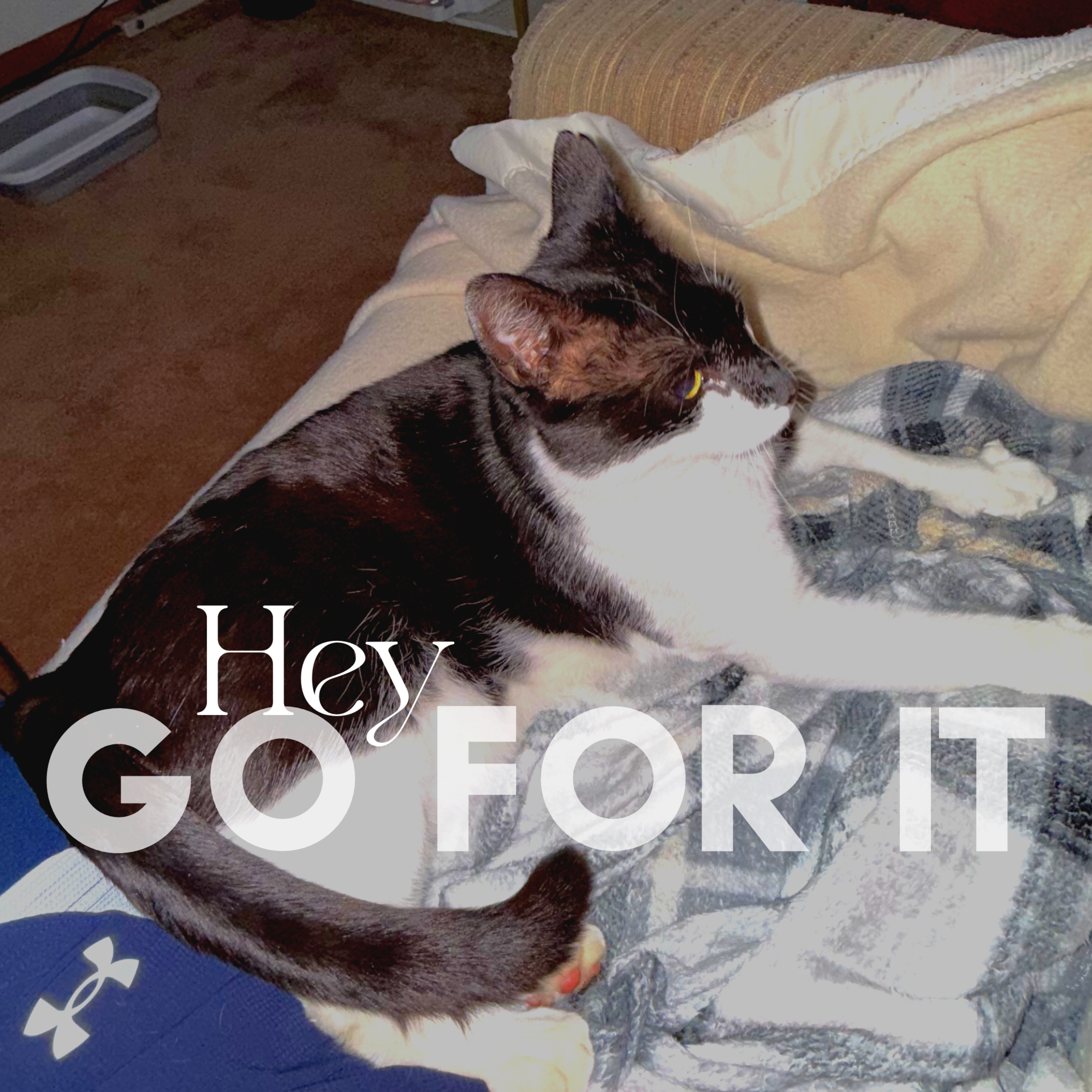 Just Go For It episode artwork