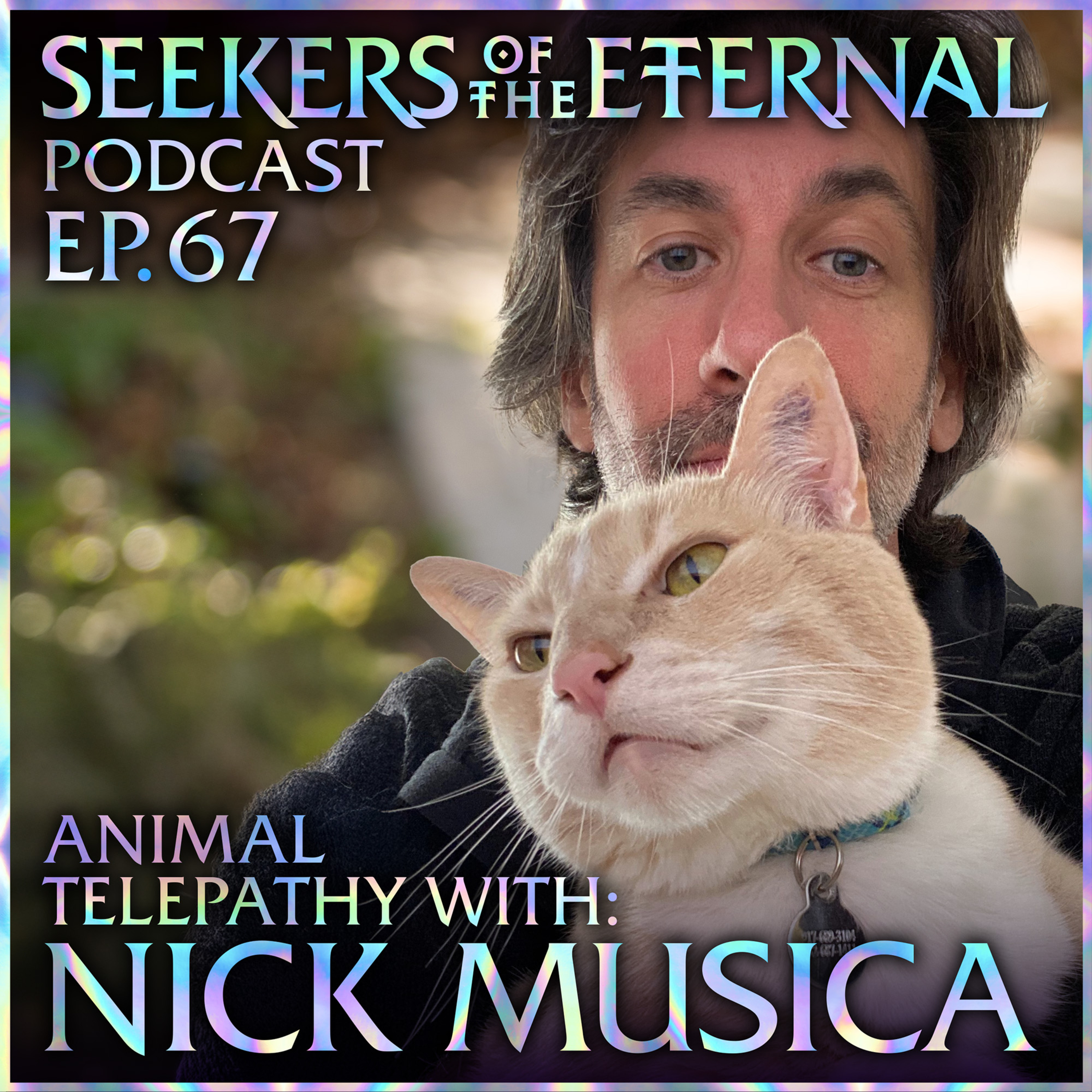 Seekers of the Eternal