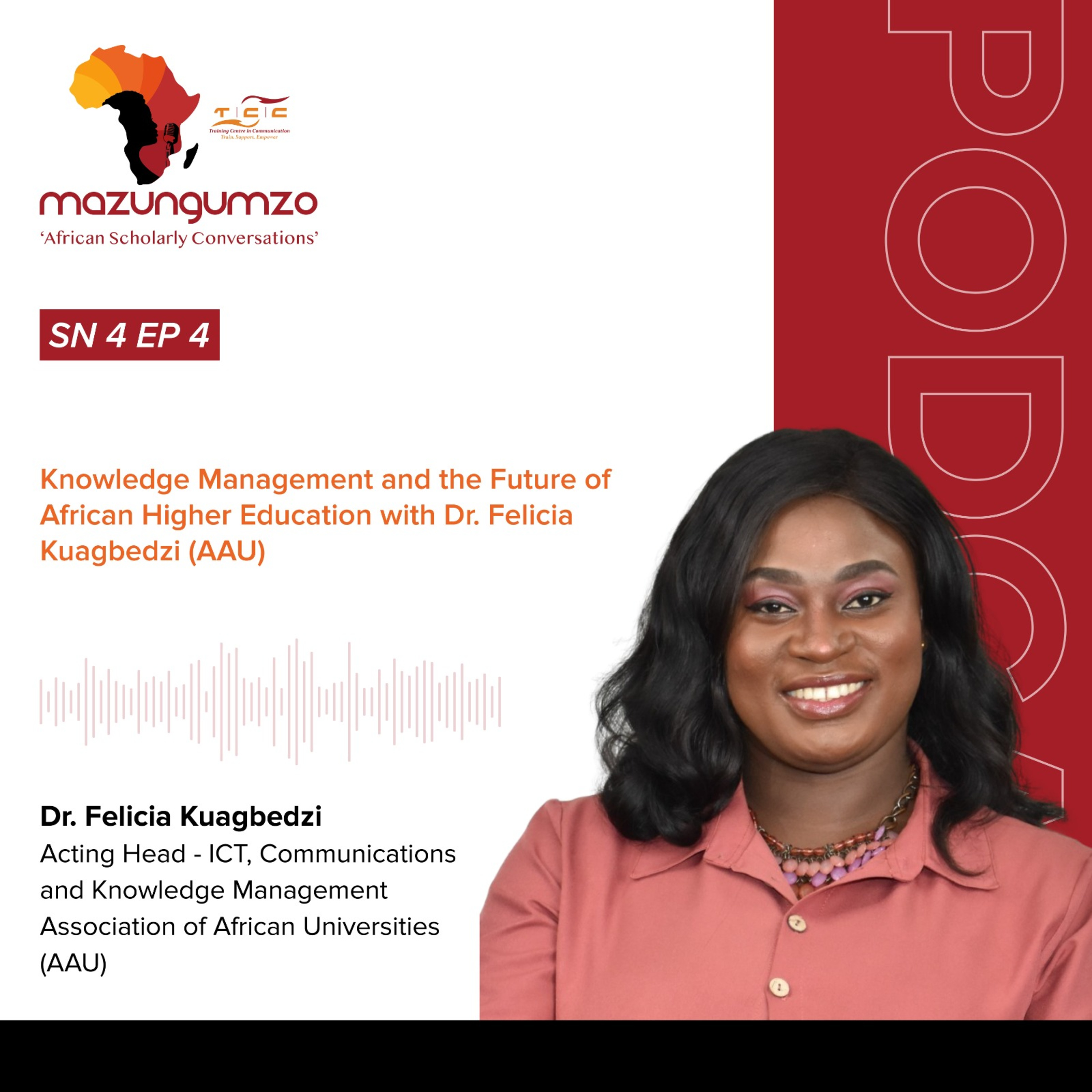 SN 4 EP 4: Knowledge Management and the Future of African Higher Education with Dr. Felicia Kuagbedzi (AAU)